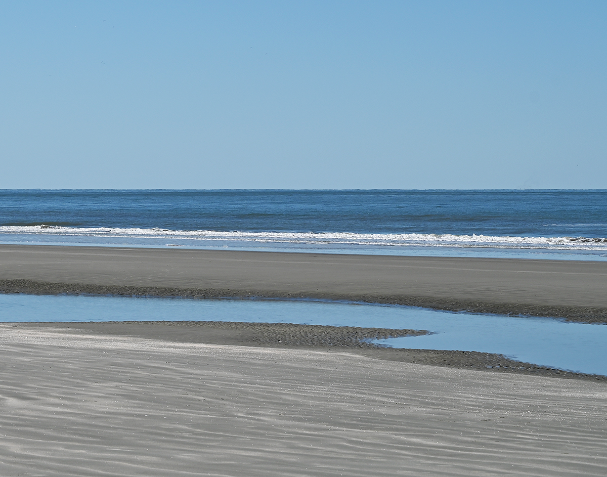 Kiawah Tidal Pool 1
