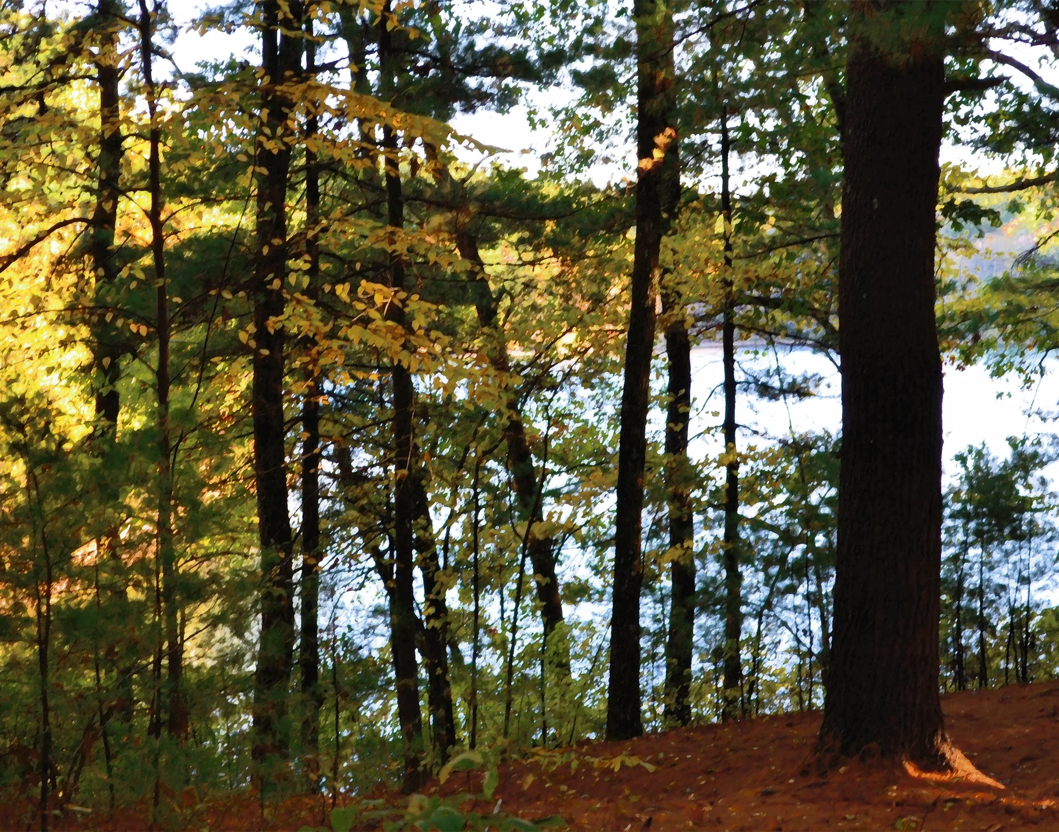 Walden Pond