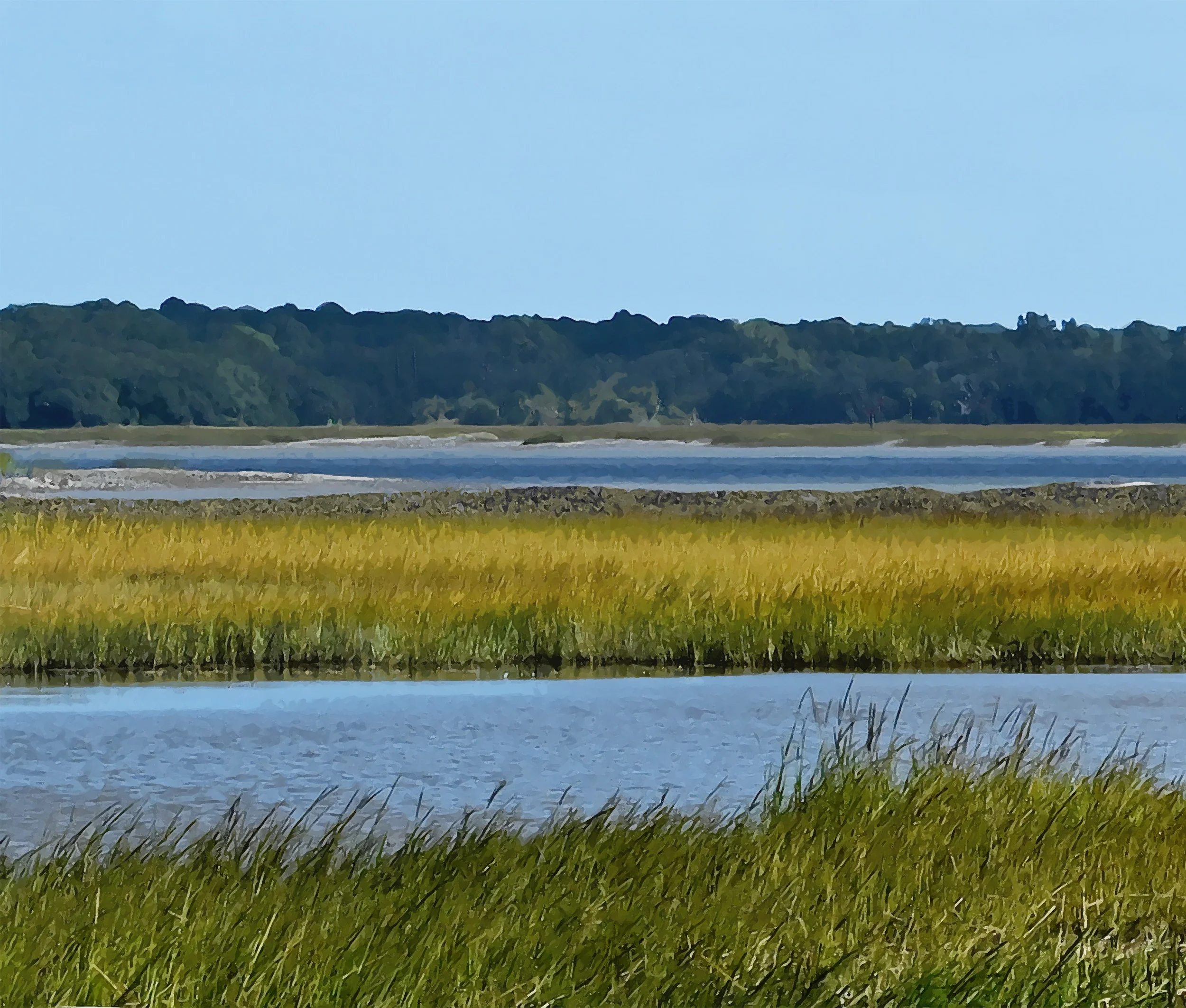 Low Country Landscapes