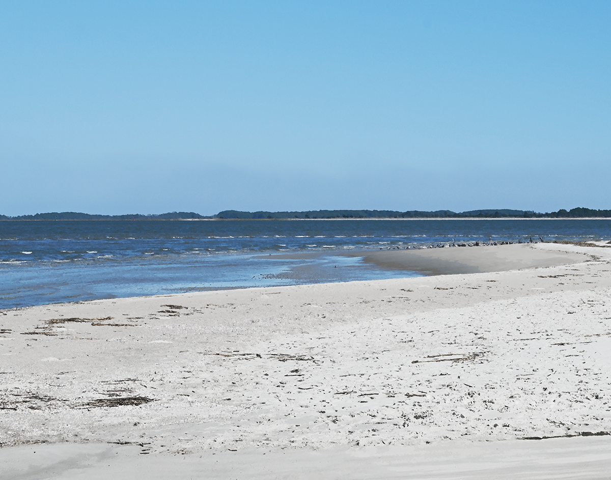 Coastal Solitude