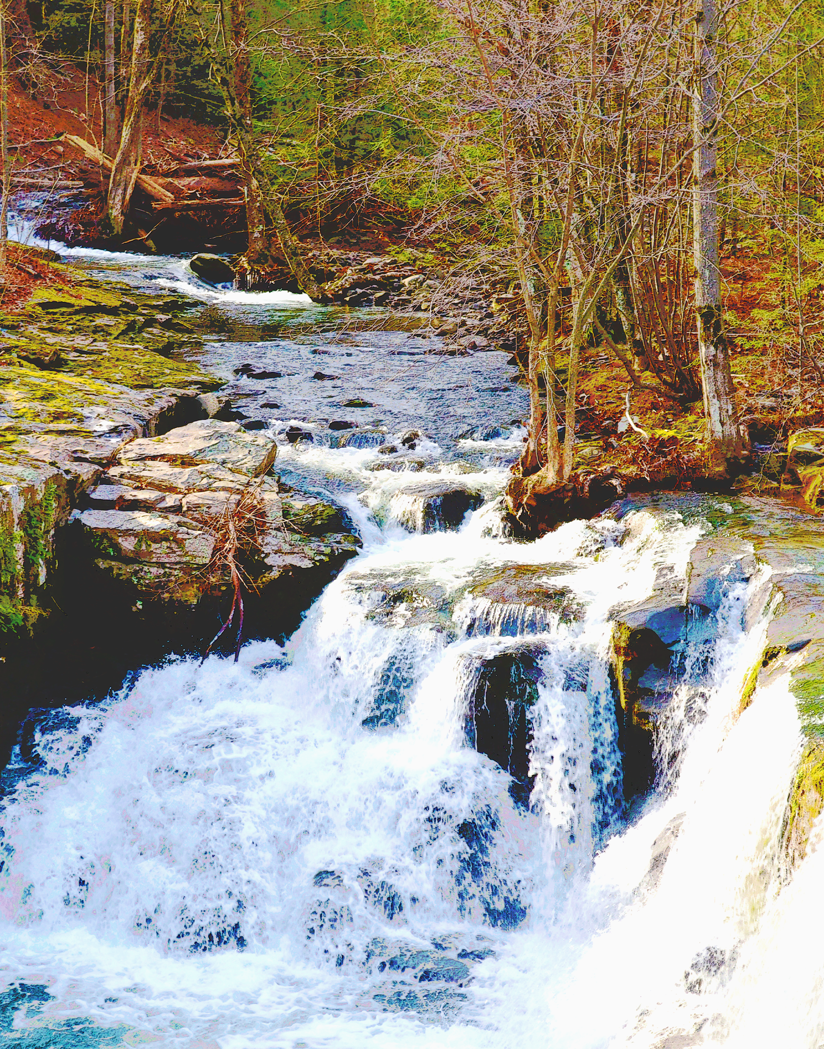 Mountain Stream