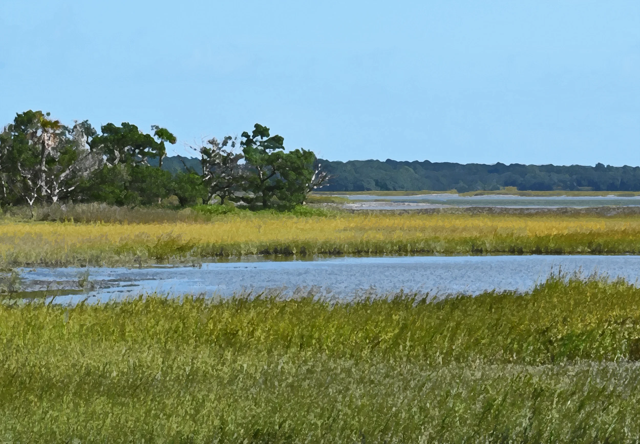 Pinckney Island Landscape 3