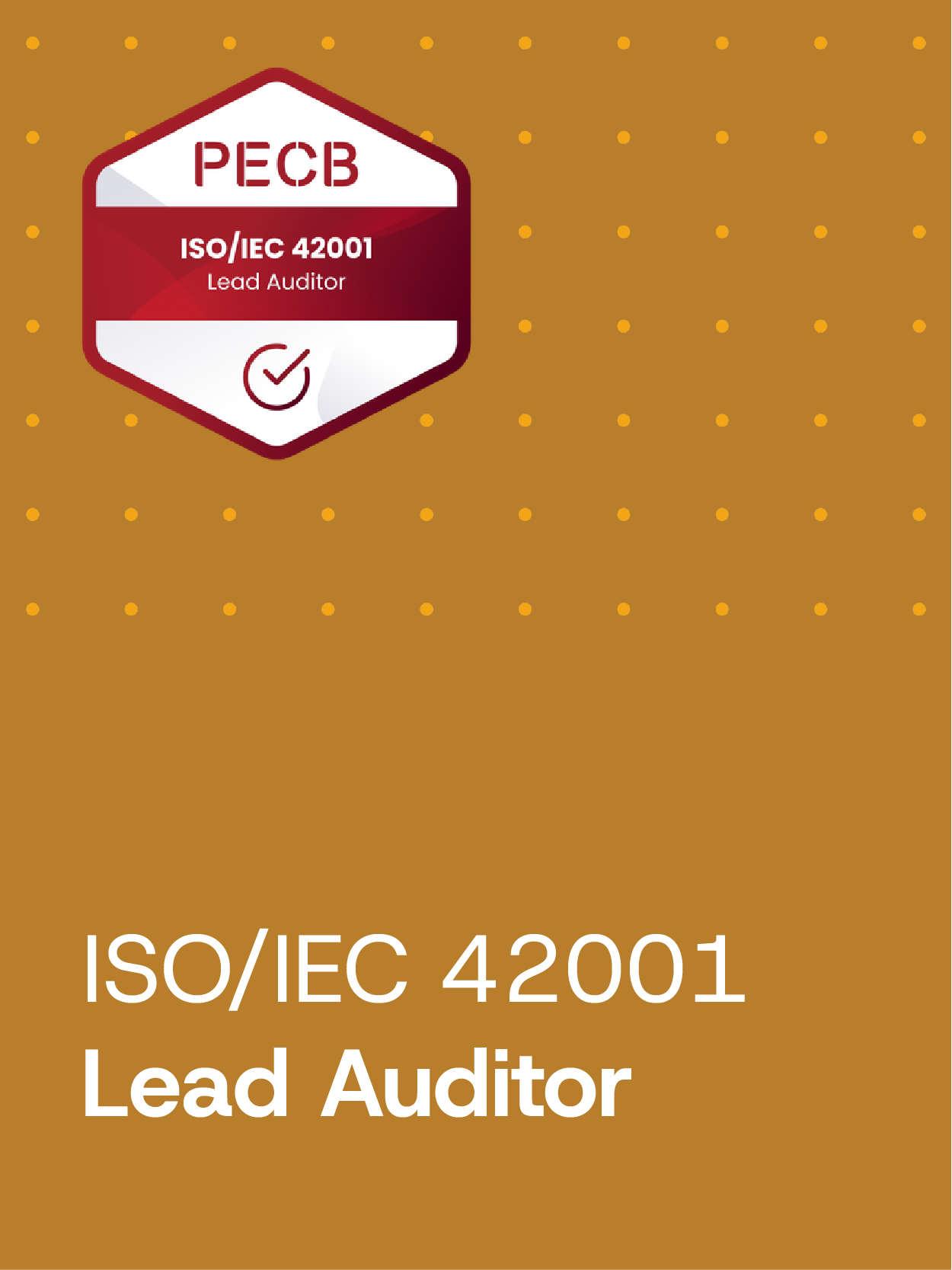 ISO/IEC 42001 Lead Auditor