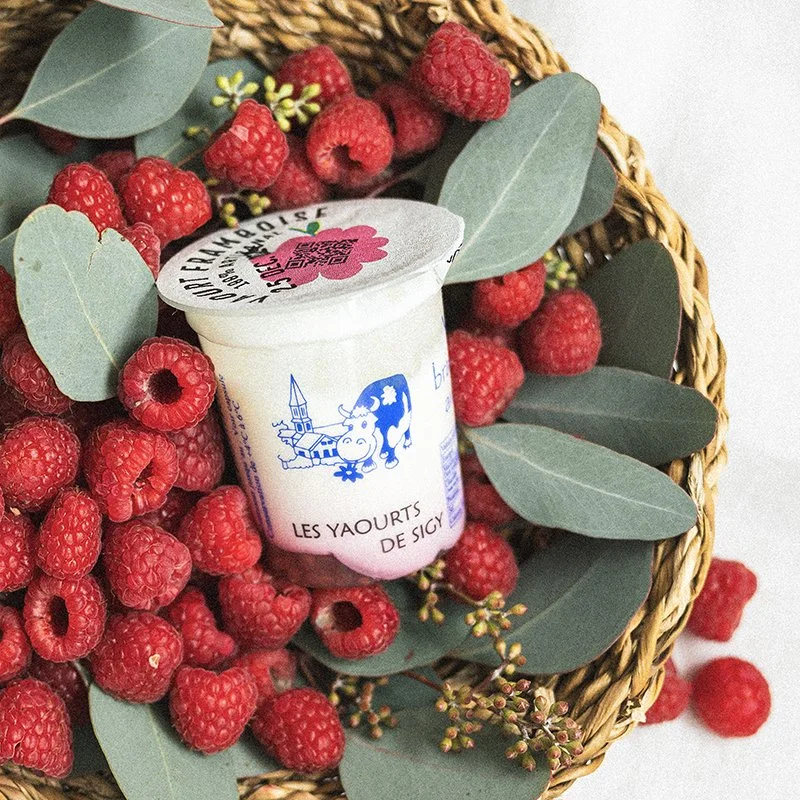 Foodles_Yaourt framboise - La ferme de Sigy.jpg