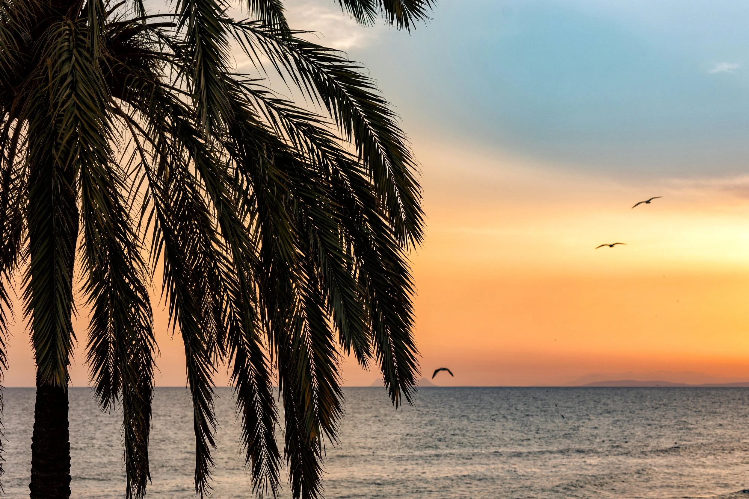 Costa del Sol y Costa Blanca: los destinos que el inversor internacional no deja de mirar