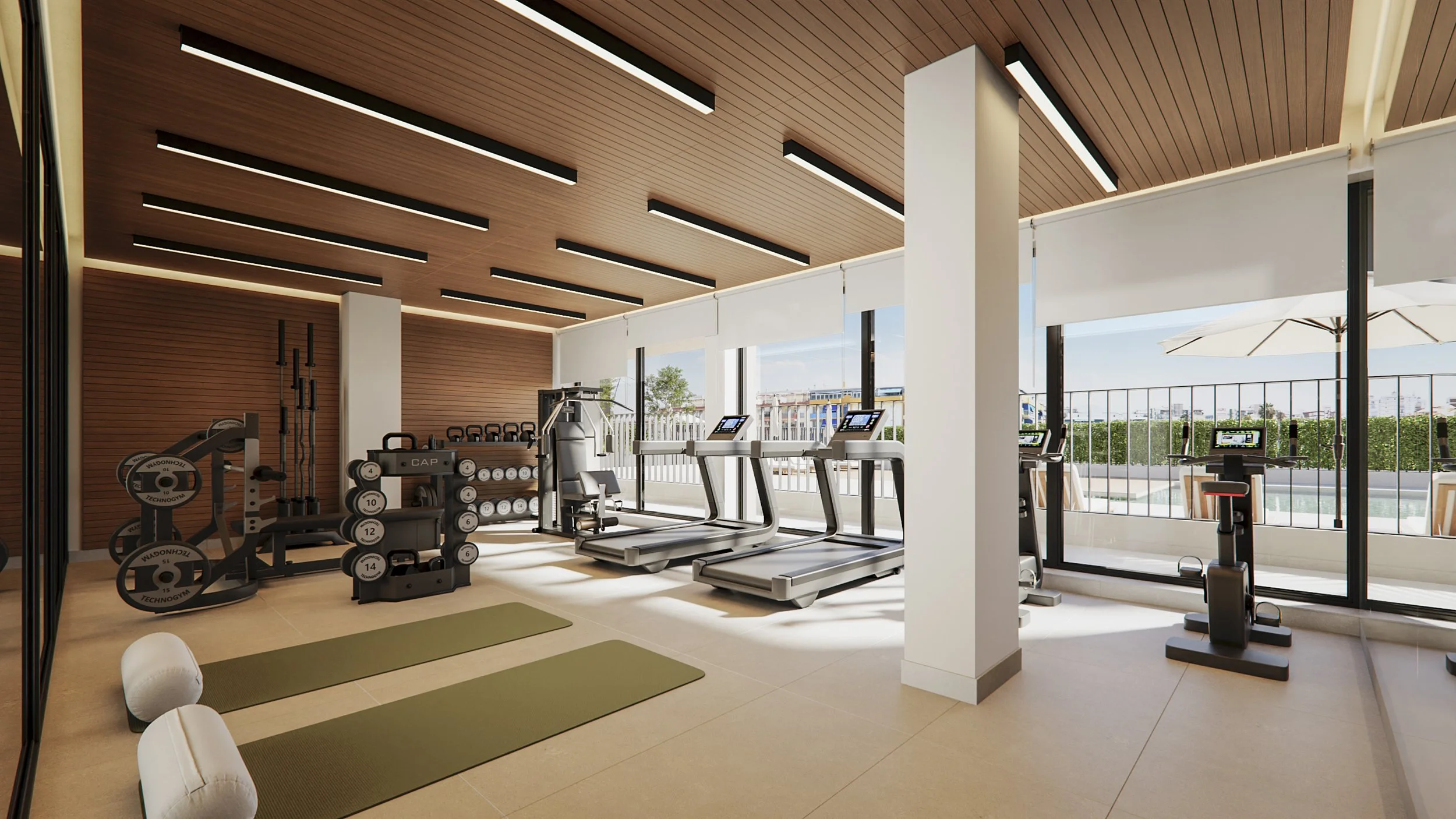 Gimnasio