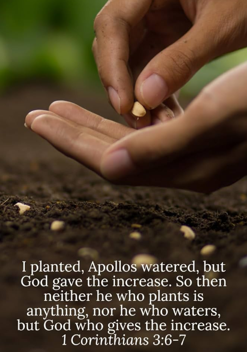 Close-up of a person planting a seed in soil, with several other seeds scattered on the ground. Bible verse from 1 Corinthians 3:6-7 is overlayed on the image.
