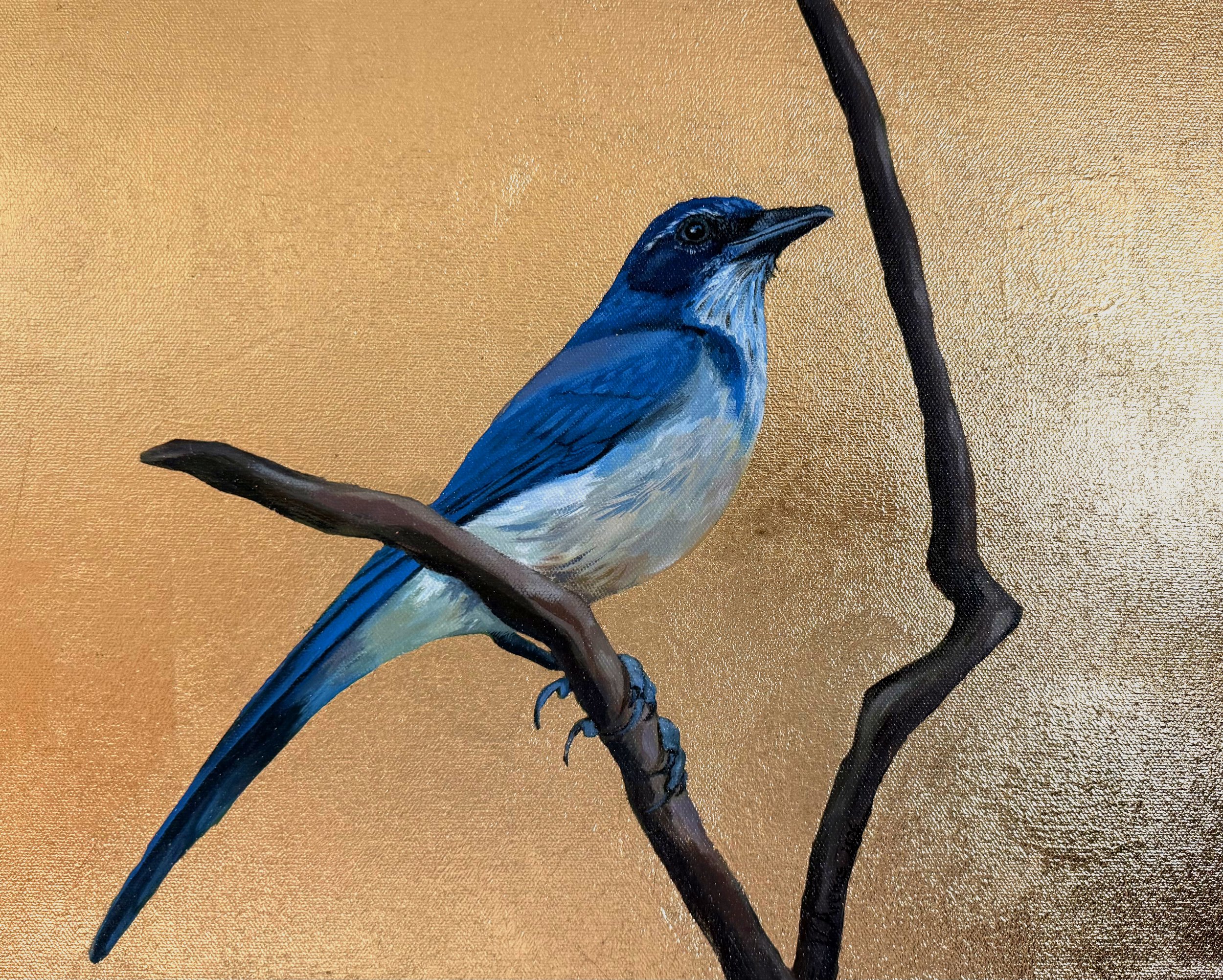 blue bird for web.jpg