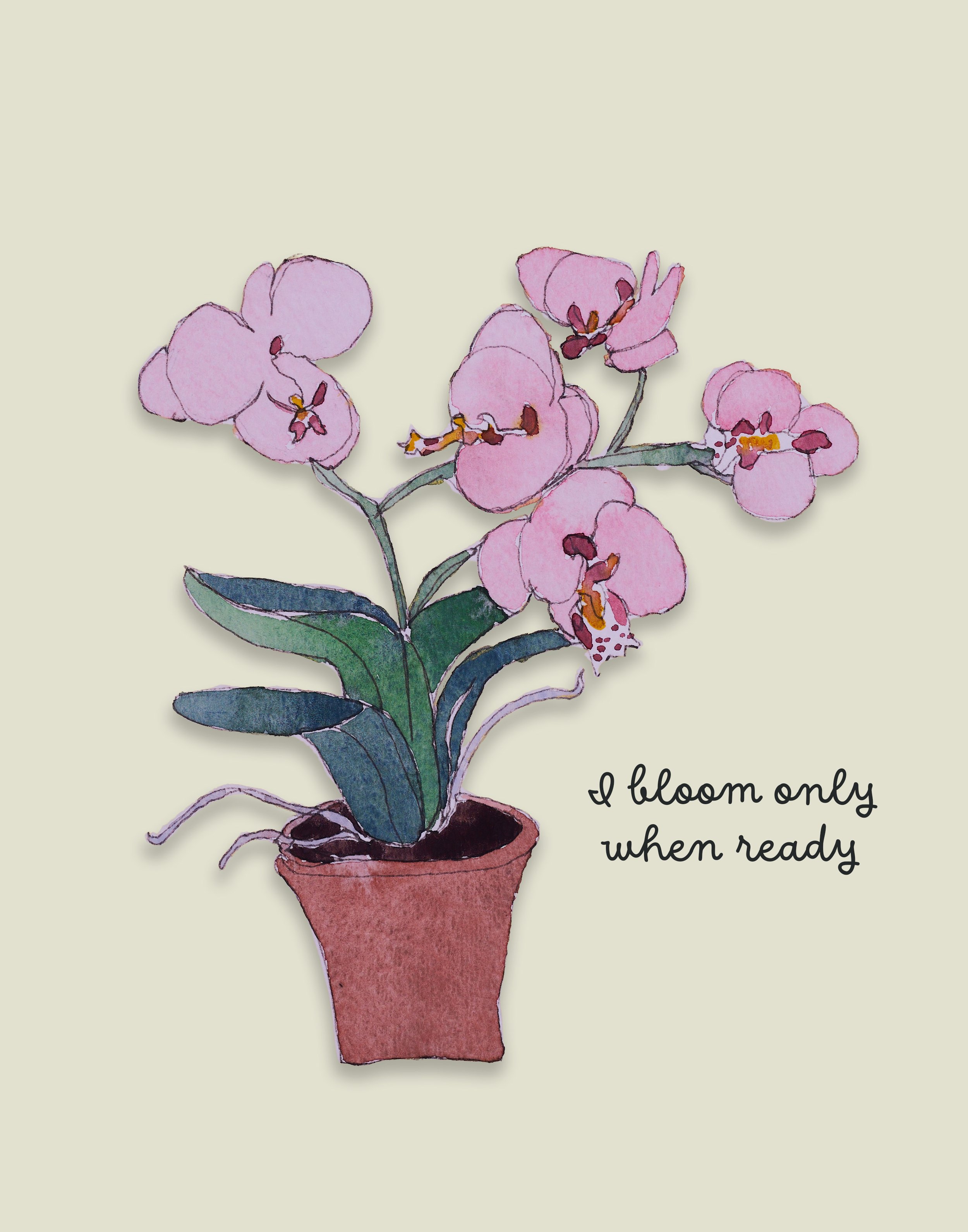 Orquid I bloom only when ready.jpg