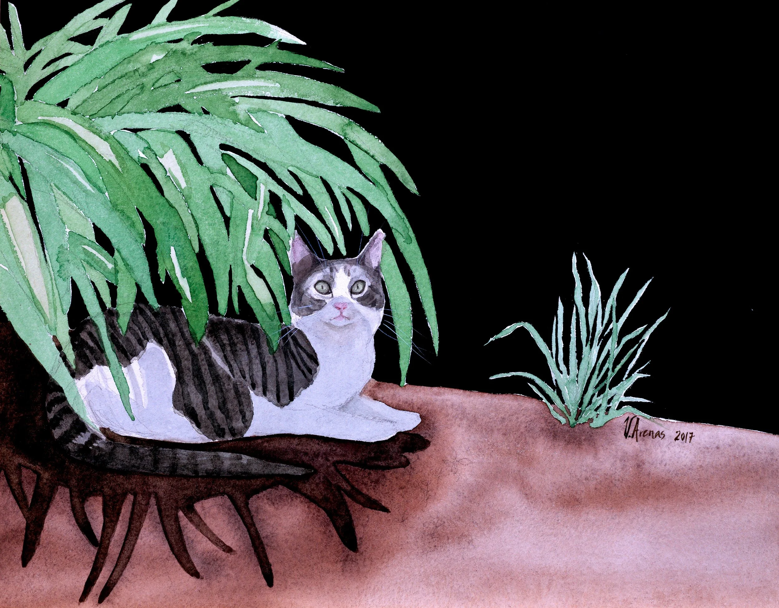 Under the shade.jpg