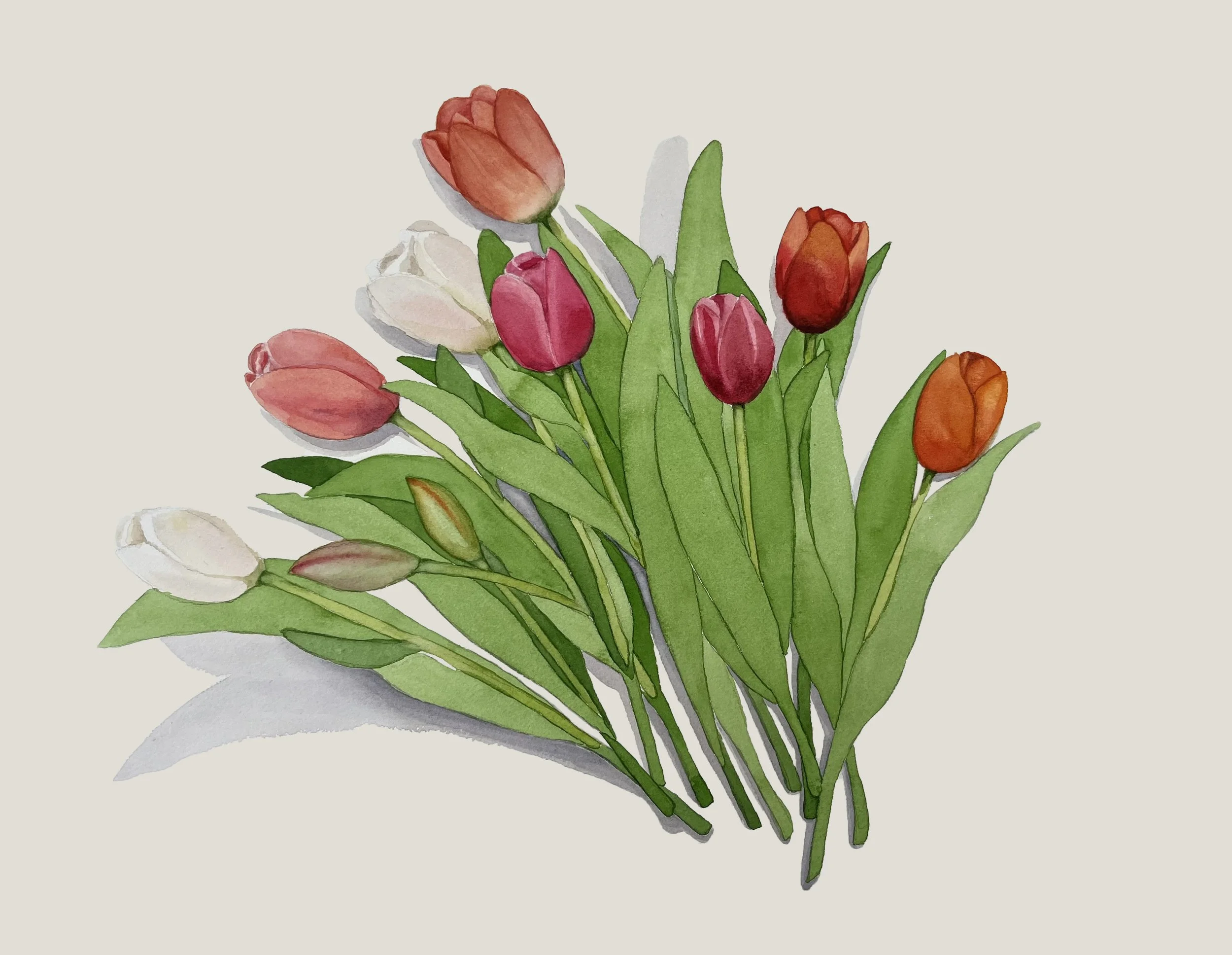 Illustrations