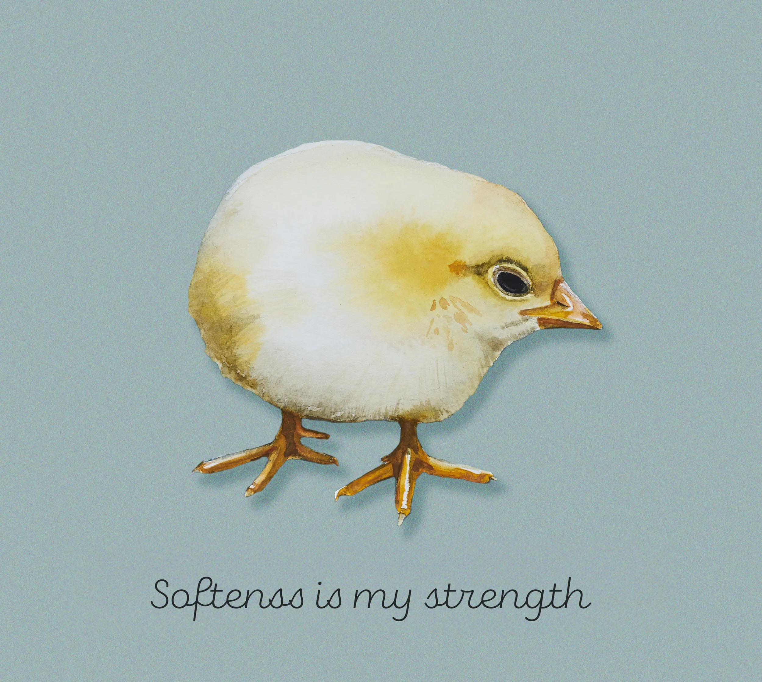 softeness is my strength.jpg