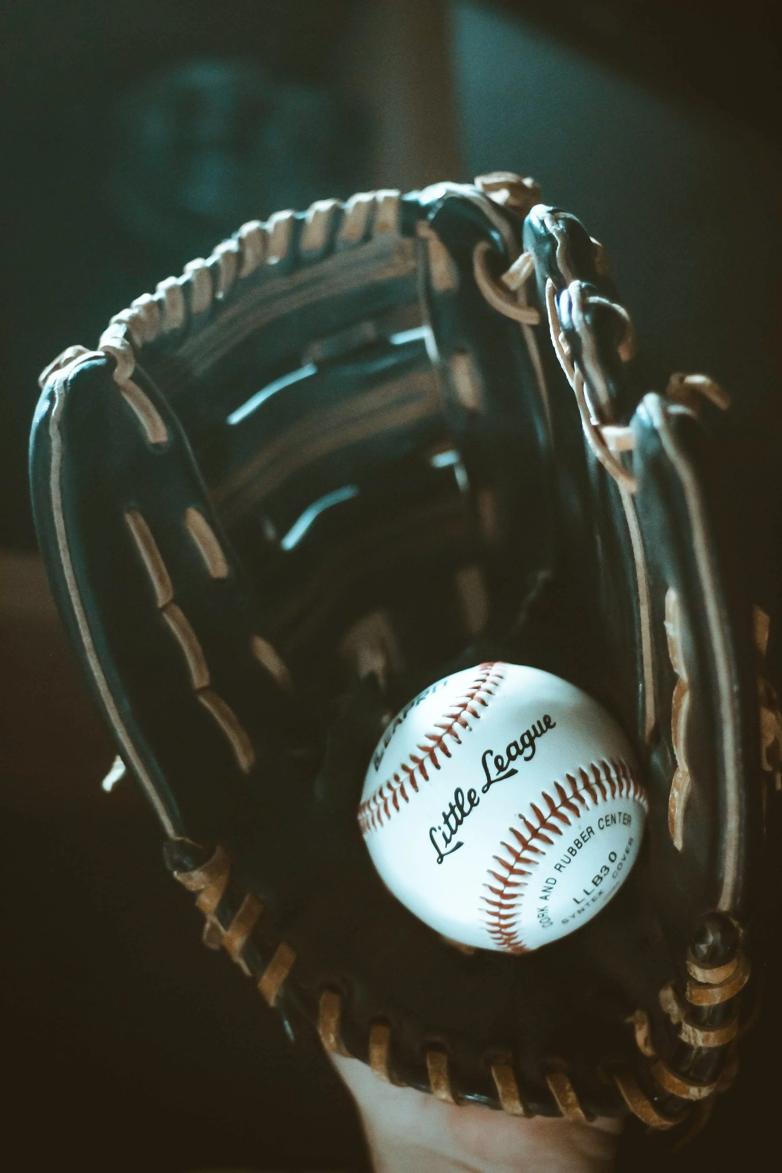 Triumph of a Little Leaguer