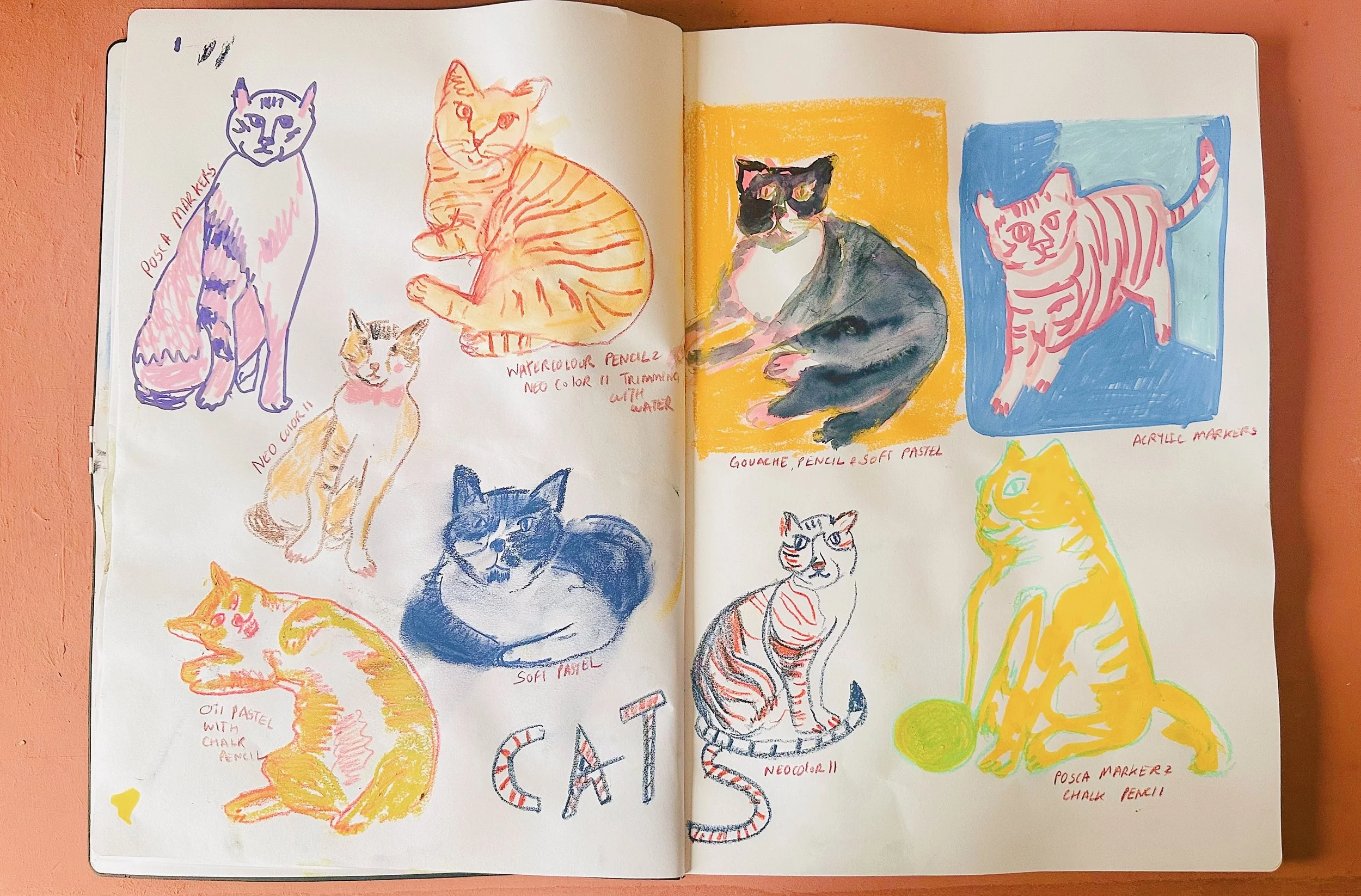 Cats