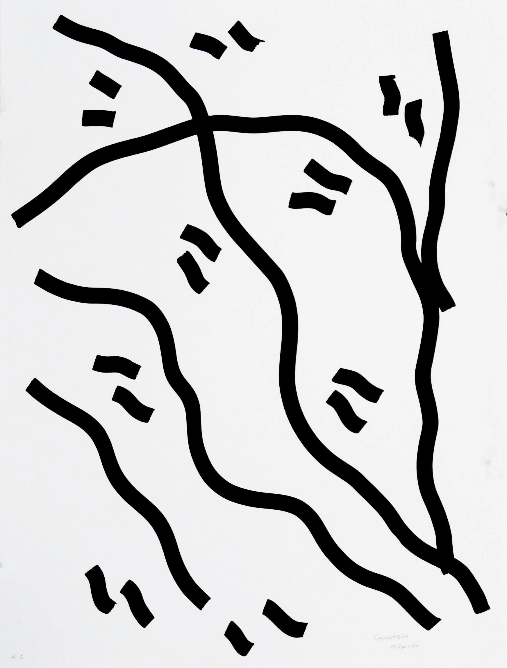 MARTIN SHANTELL Ed. V.jpg