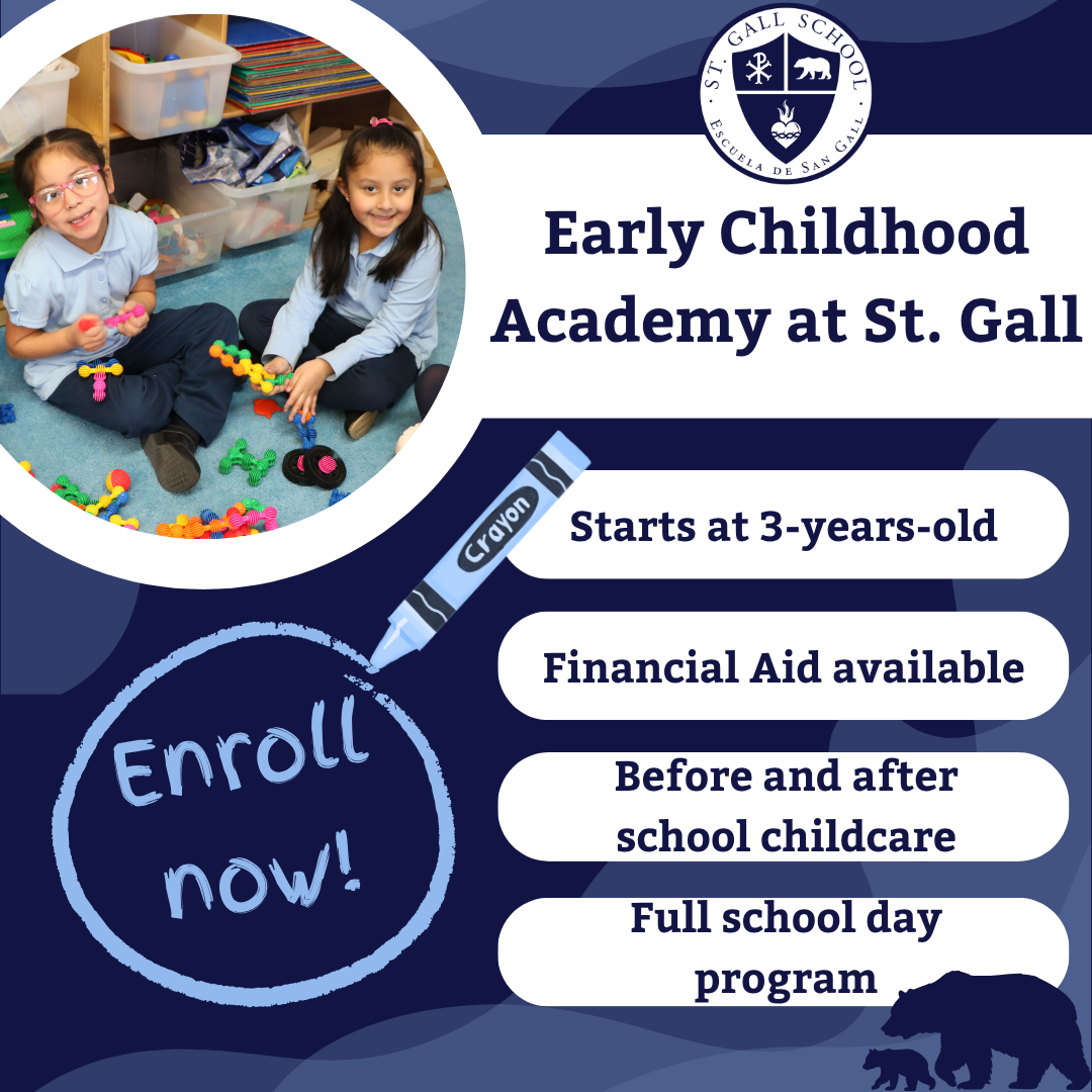 St. Gall is a small Catholic school located in Gage Park, Chicago.  I manage their Facebook and Instagram accounts, where I capture content and design, schedule, and post social media graphics.  Since I began working with St. Gall and managing their 