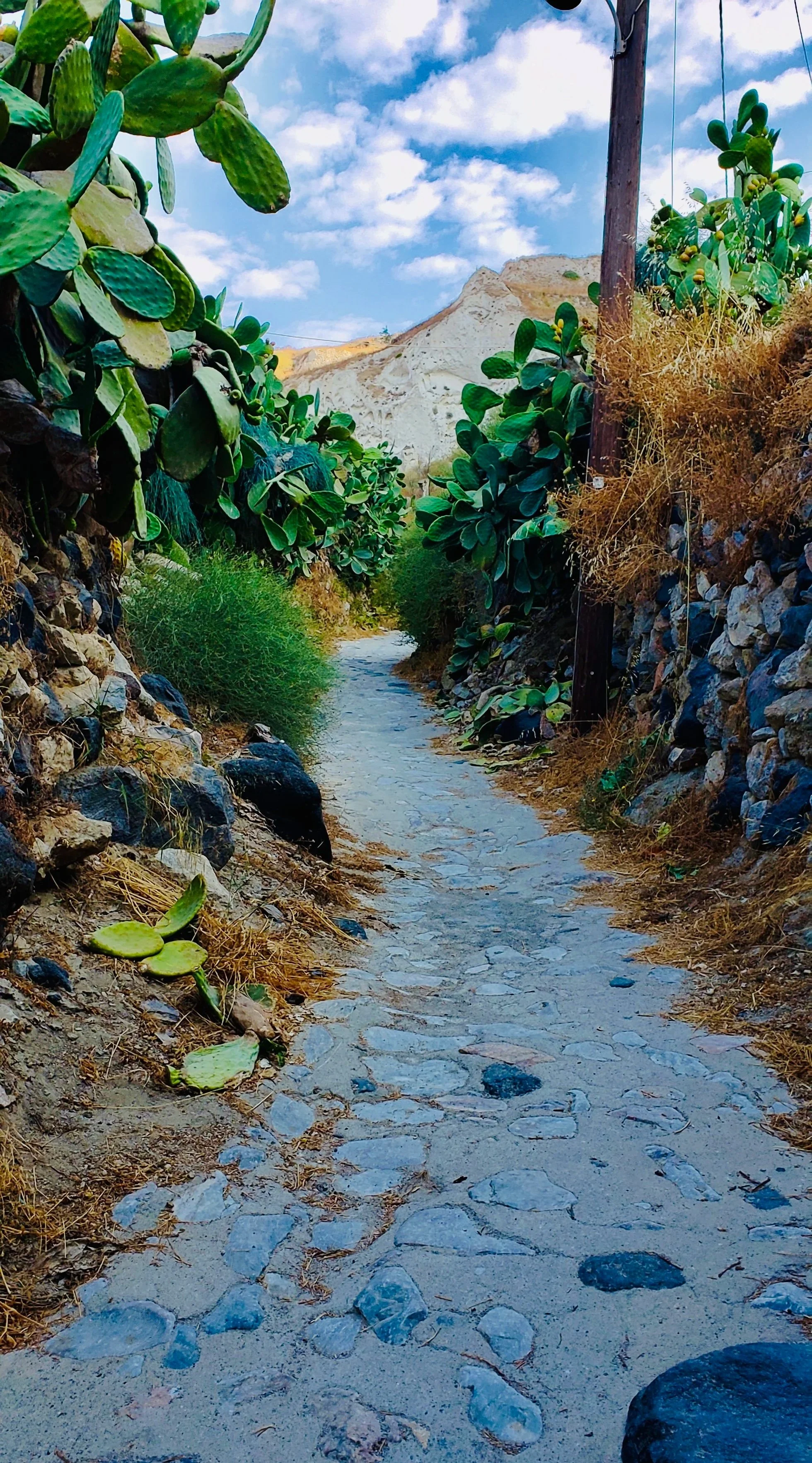 A narrow stone pathway flanked by stone walls and green plants, with a mountainous landscape and partly cloudy sky in the background.