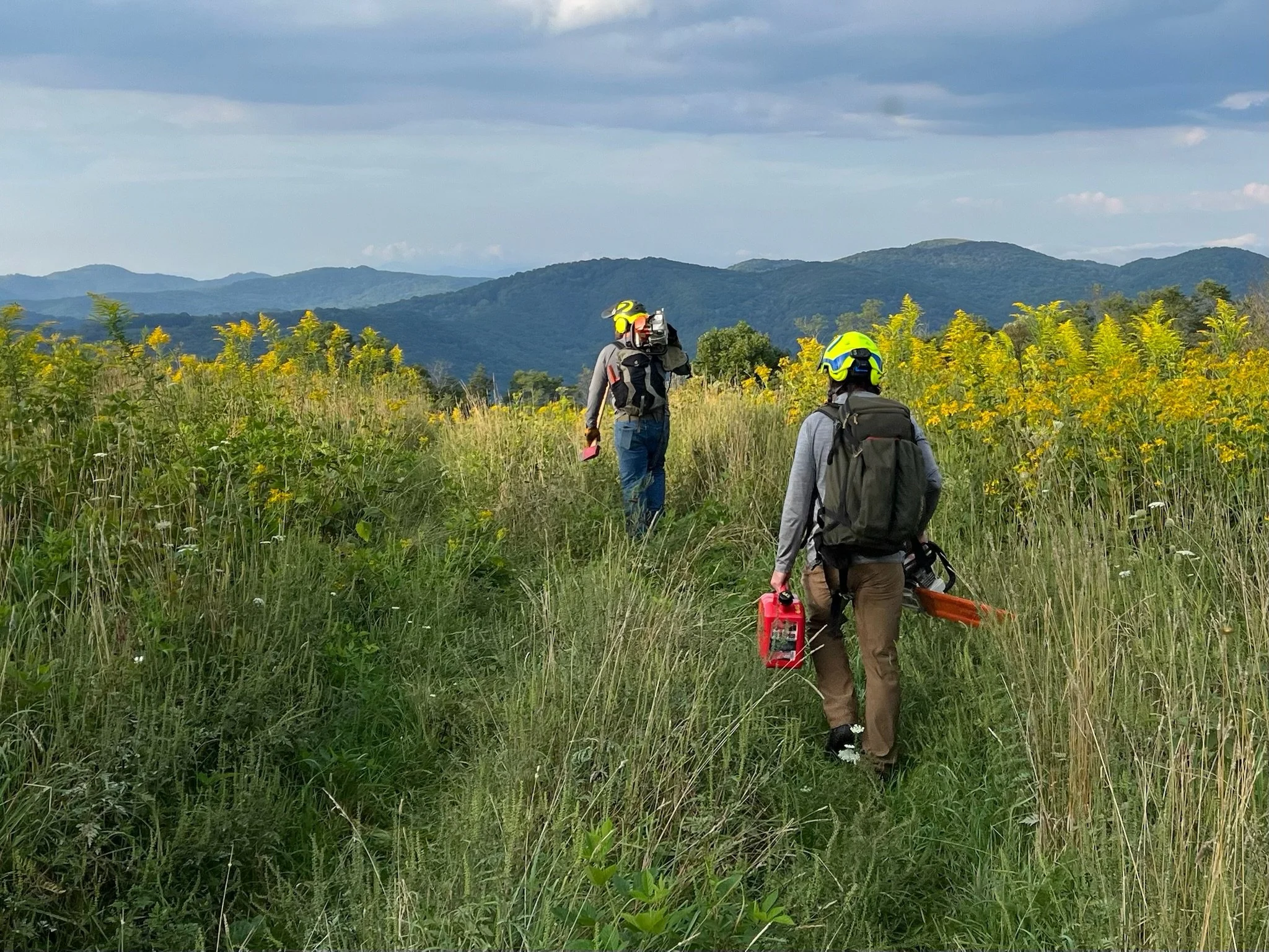 Website - Appalachian Land Stewards