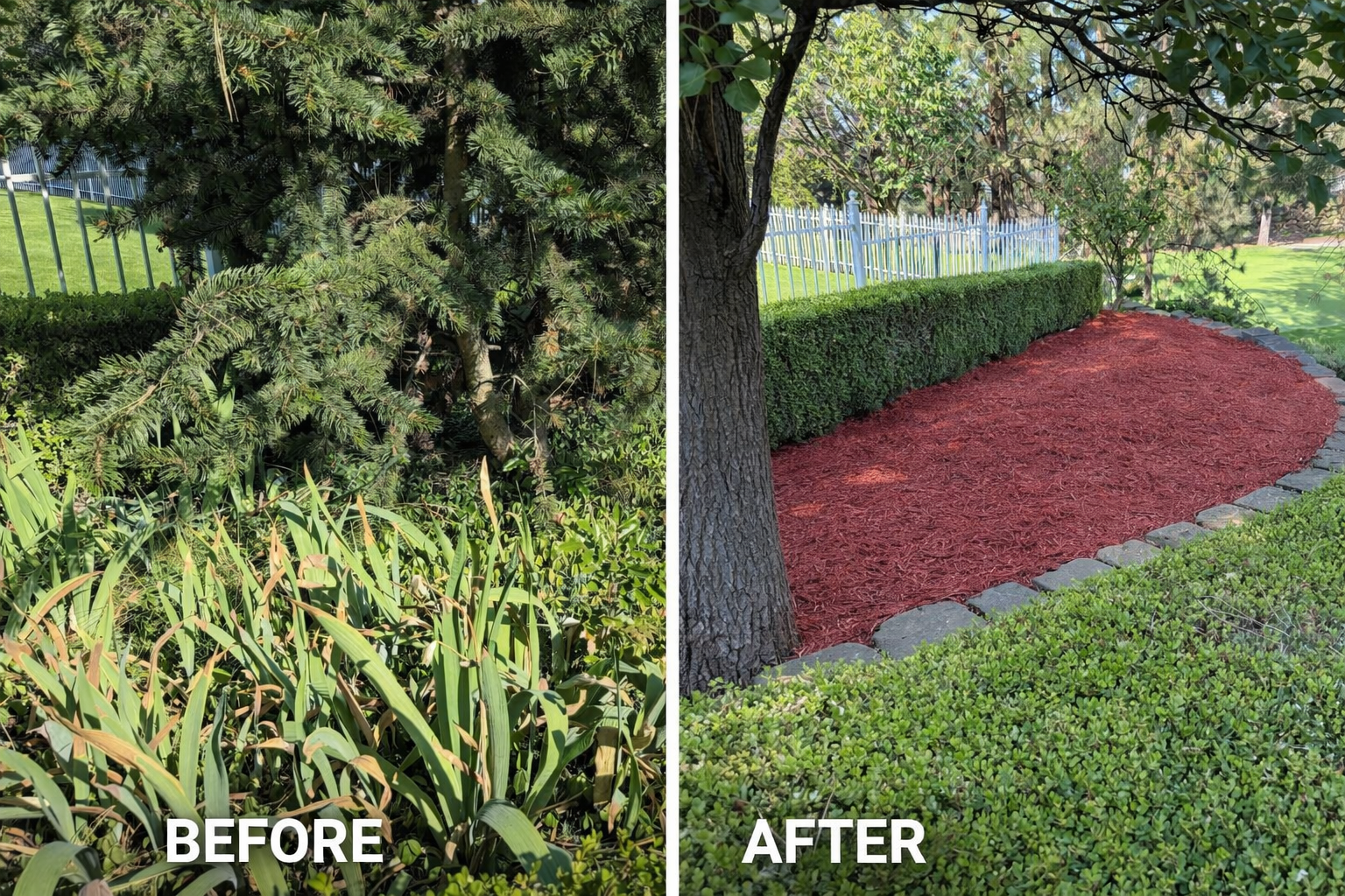 Garden makeover transformation comparison.png