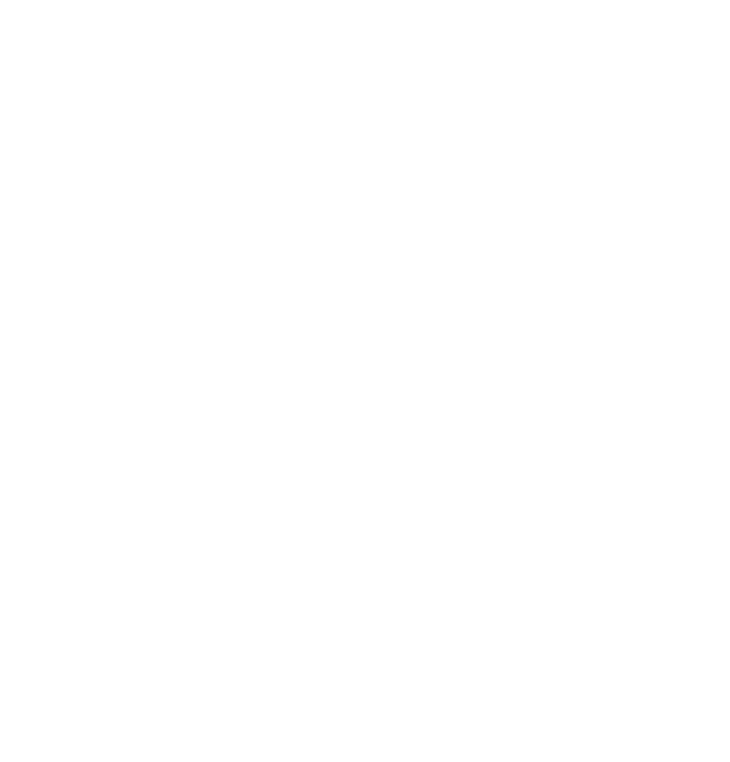 Black and white compass rose showing N, E, S, W directions with detailed markings and a stylized star shape at the center.