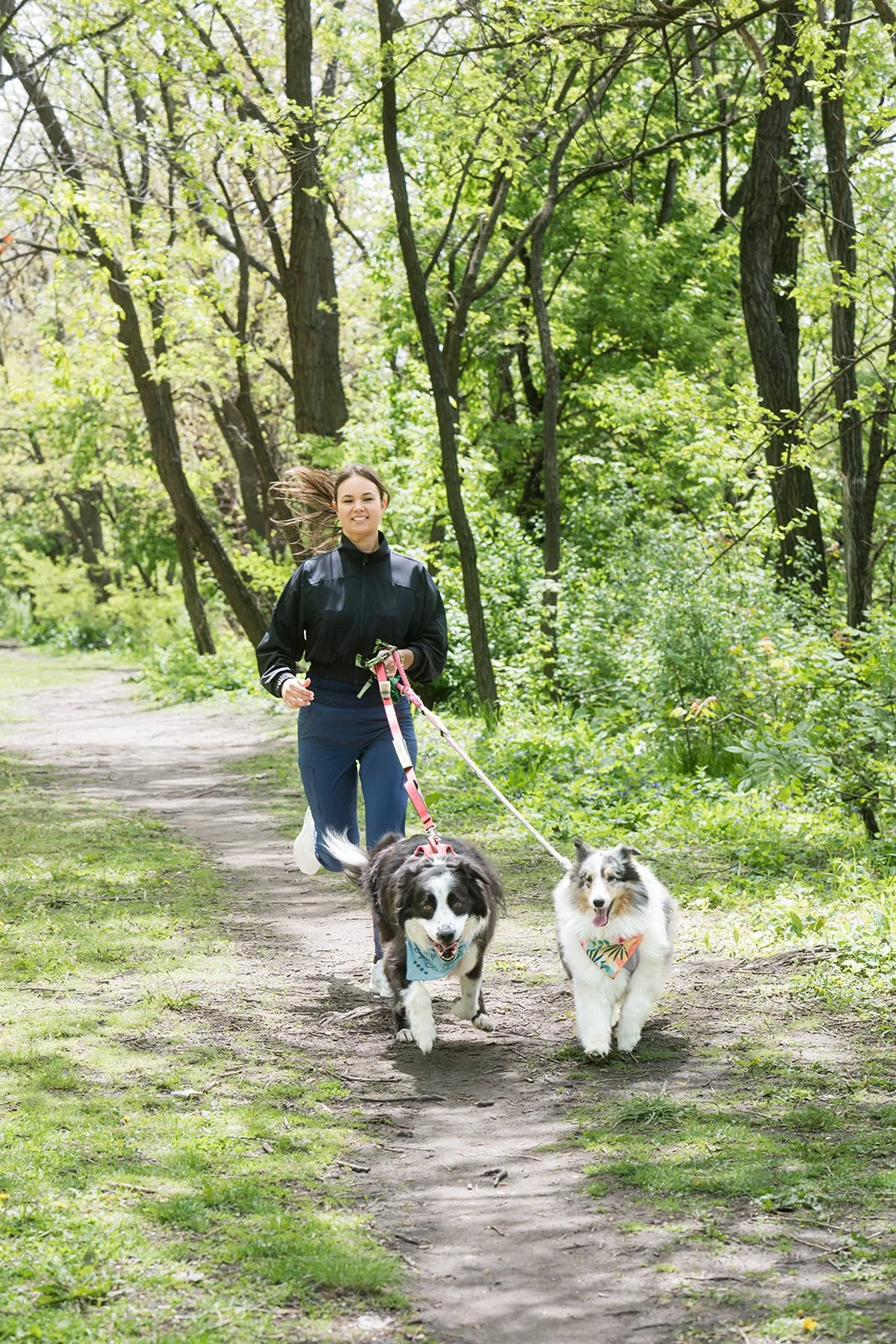 A woman jogging through a forest trail with two Australian Shepherd dogs on leashes, surrounded by green trees and sunlight.