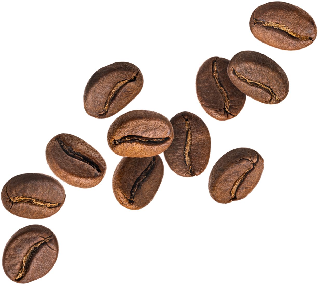 Several roasted coffee beans scattered on a white background.