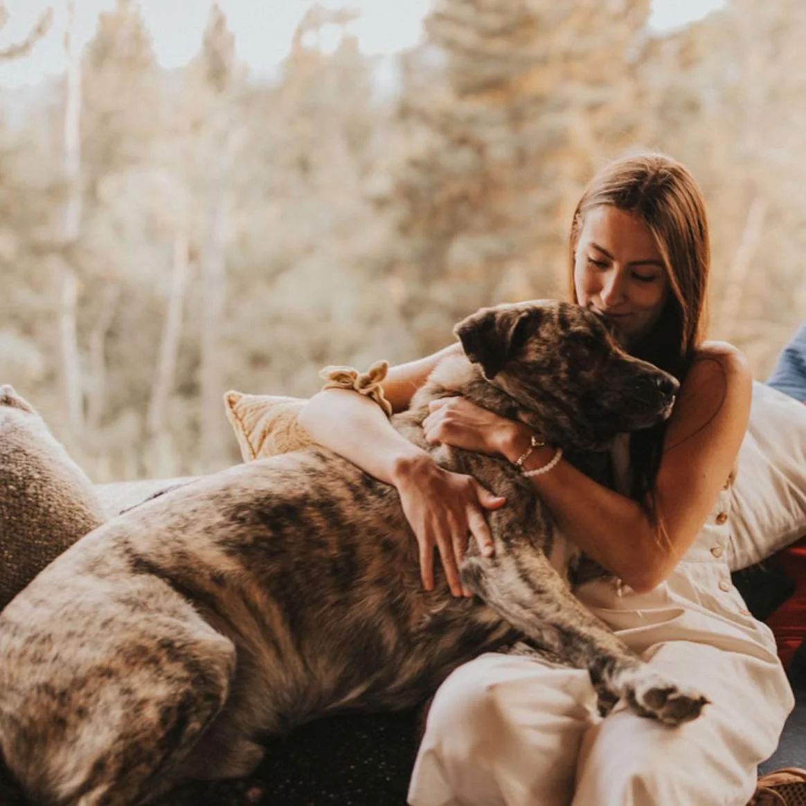 A woman hugging a large brindle dog on a couch with a scenic window view in the background.