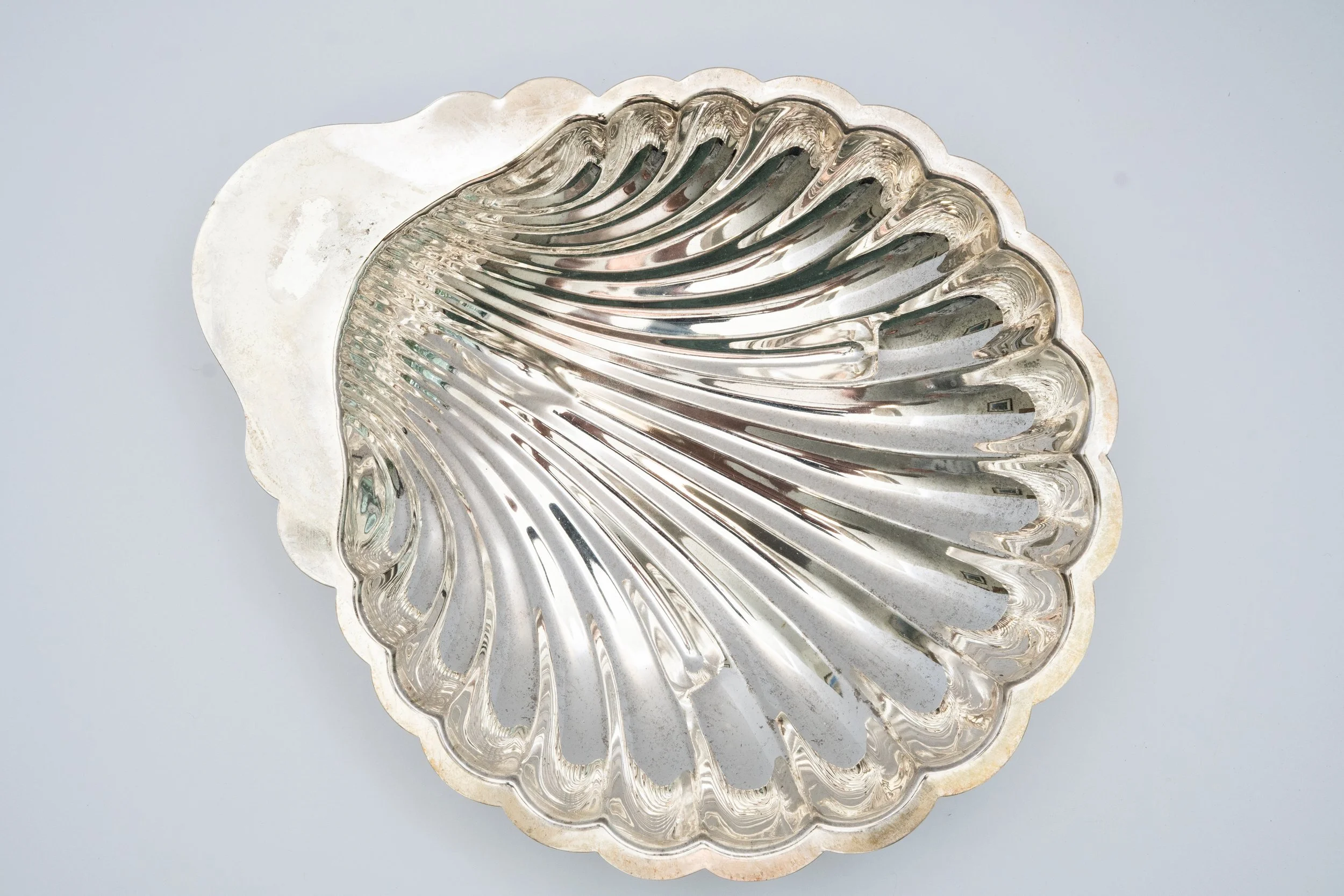 The Sally Shell Tray