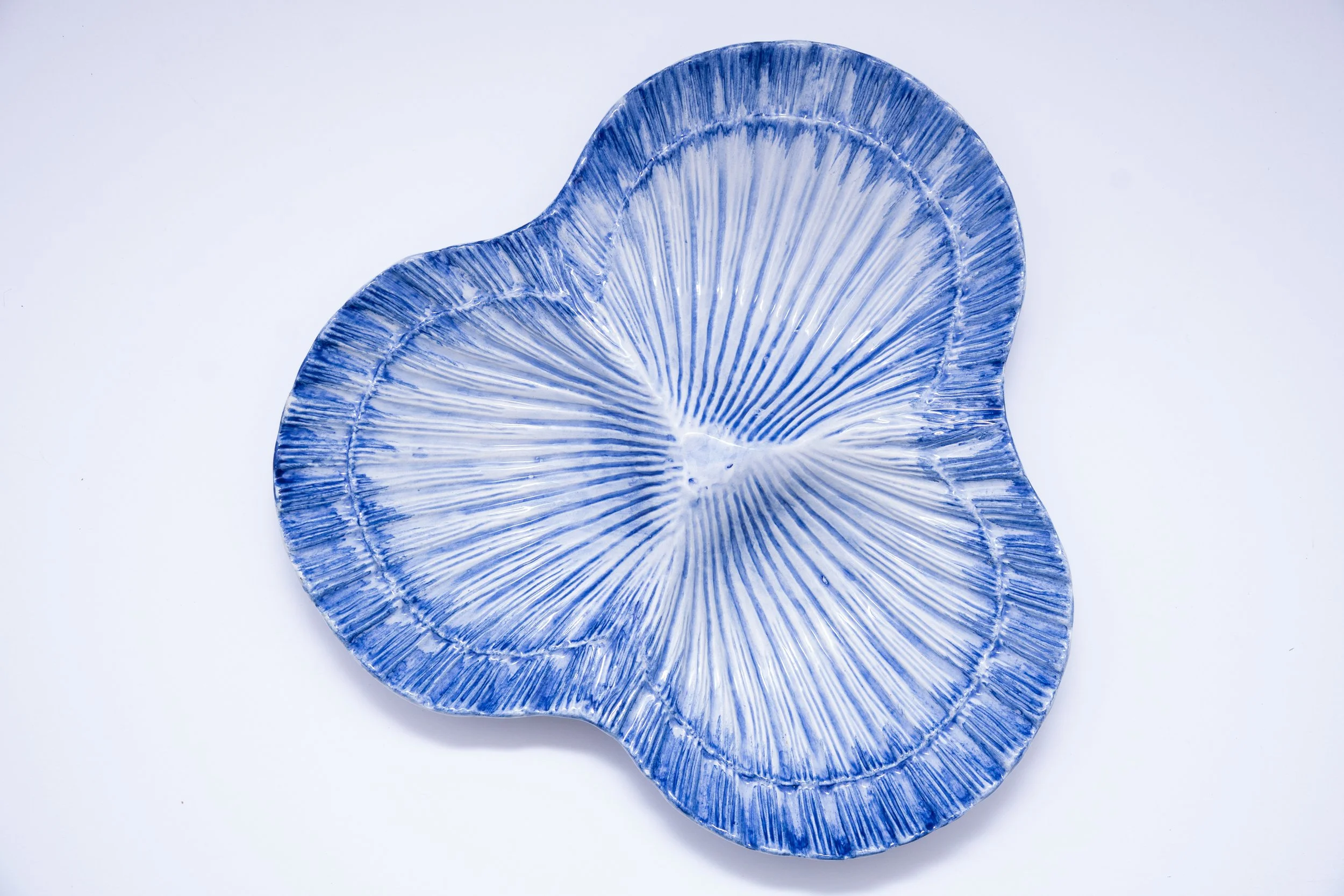 The Blue Scallop Platter