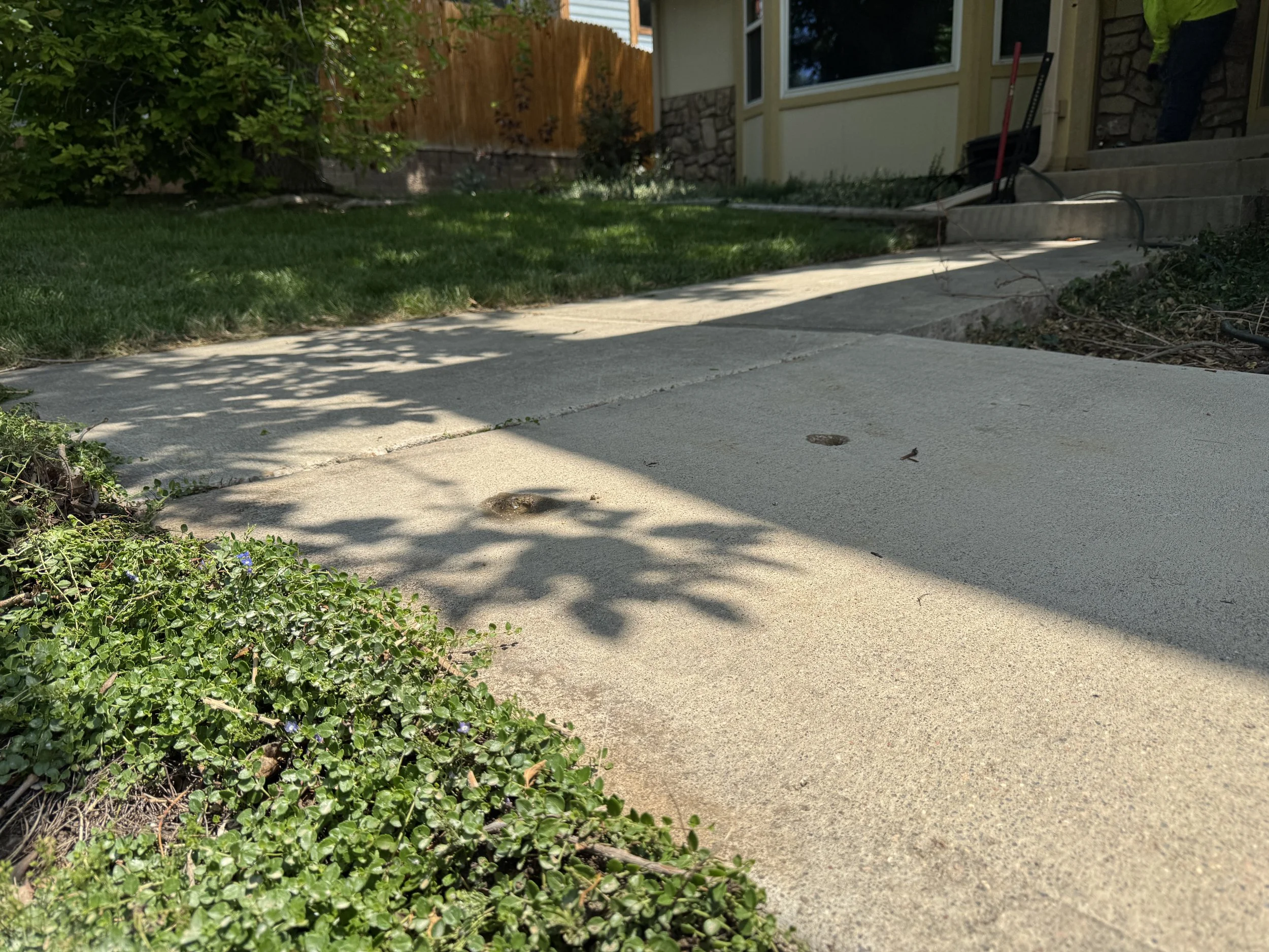 IMG_8263.JPG