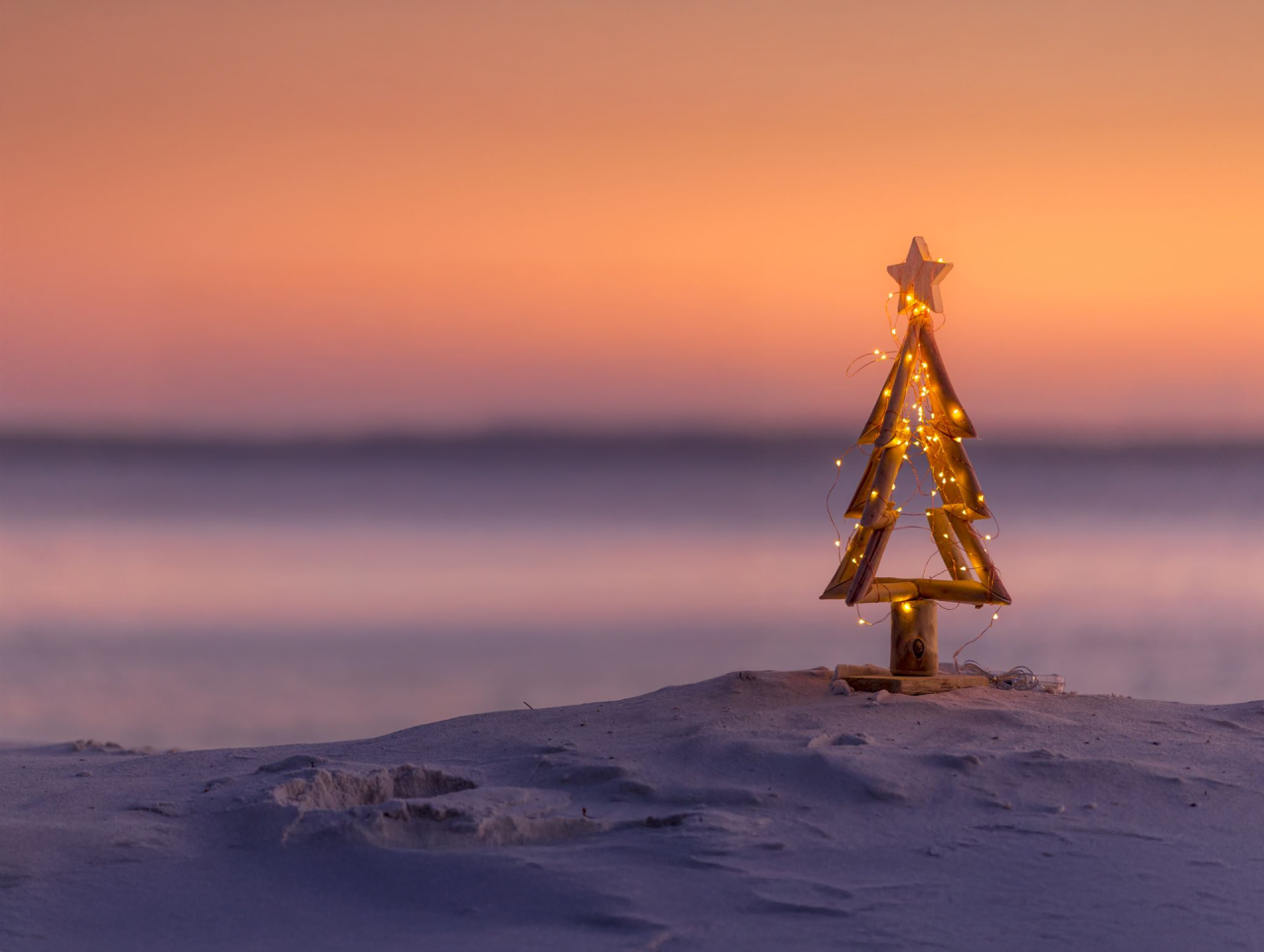 Christmas 2016… I Almost Lost the Light—Here’s How I Moved from Survival, to Growth, to Thriving.