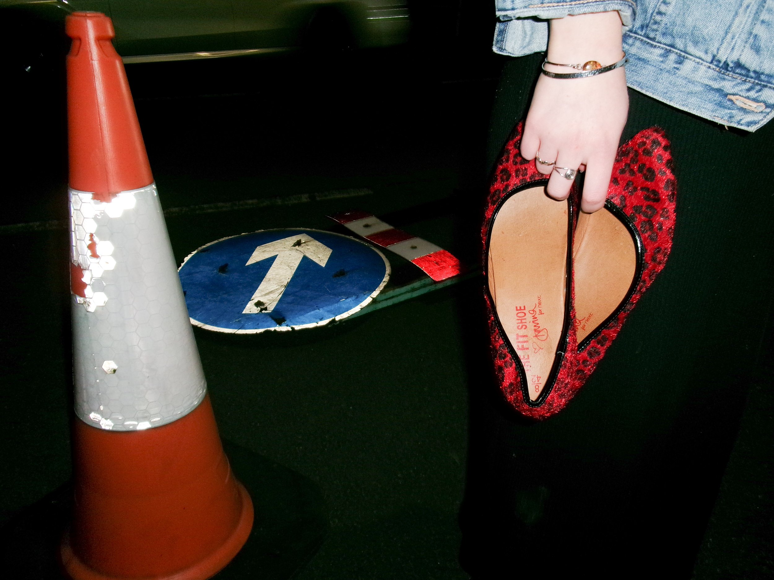 100_0147.jpg