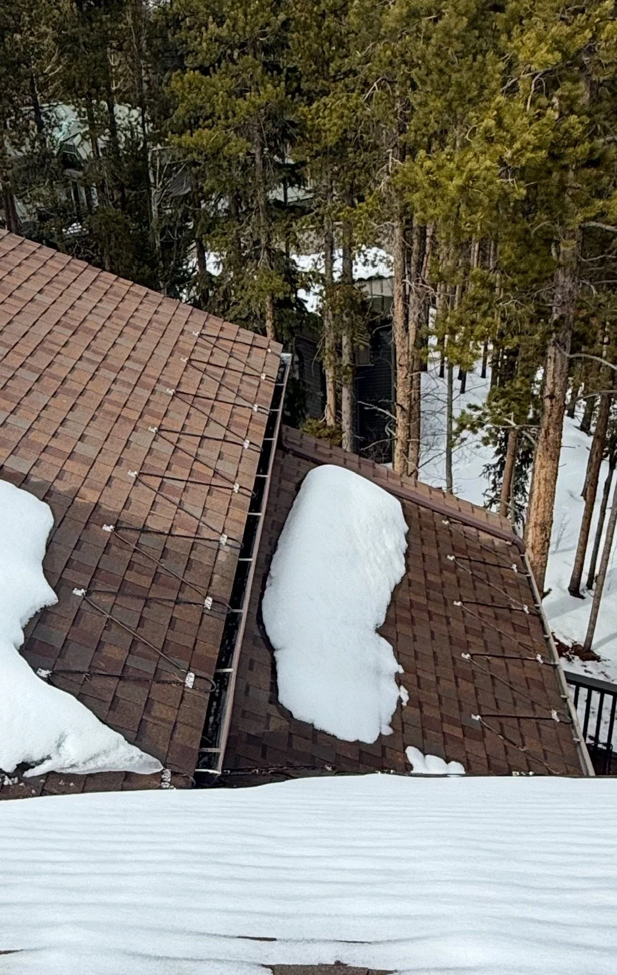 Snow melted in clear paths along a shingle roof valley with heat trace cable, surrounded by pine trees
