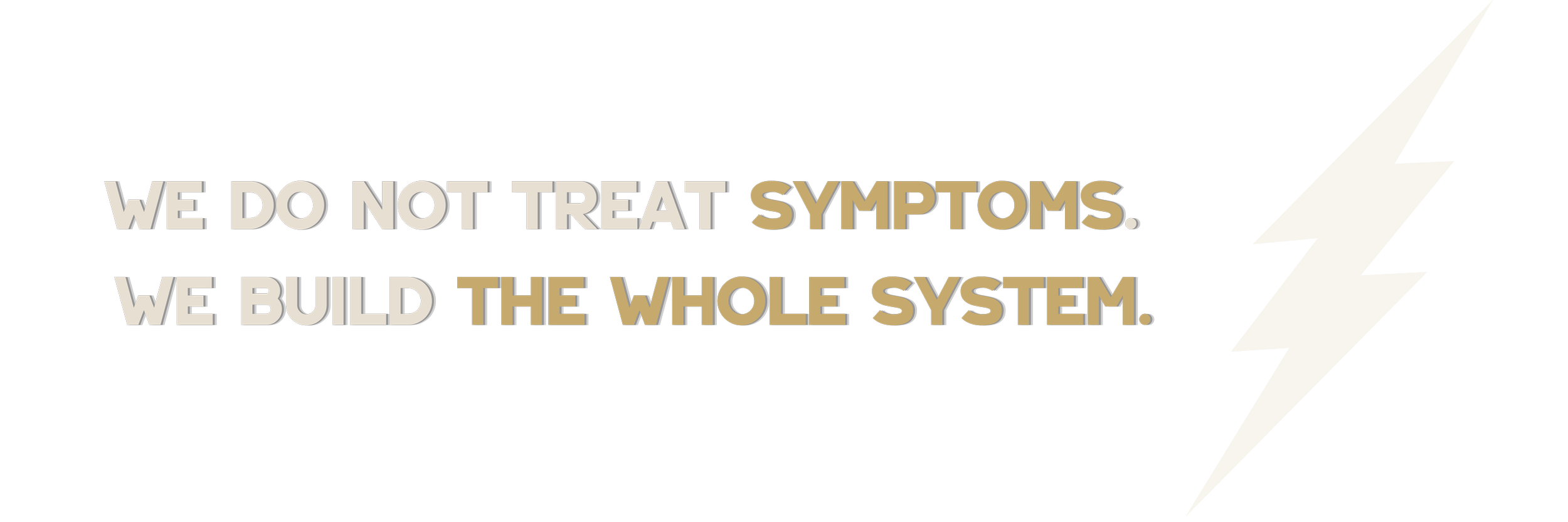 Quote saying 'We do not treat symptoms. We build the whole system.' with a golden lightning bolt on the right side.