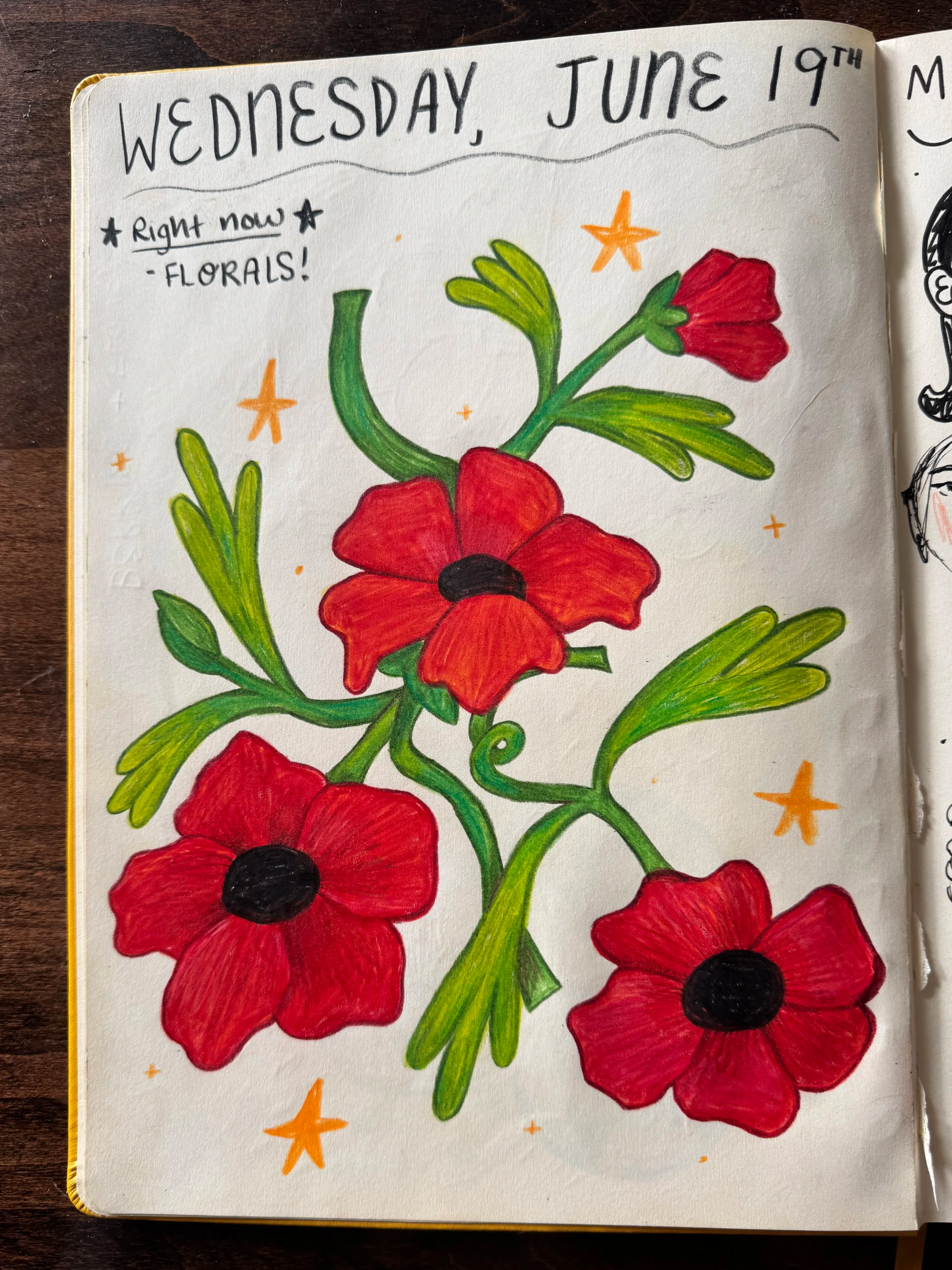 A colorful drawing of red poppy flowers with green stems and leaves, and a few small orange stars, in a sketchbook page dated Wednesday, June 19th.