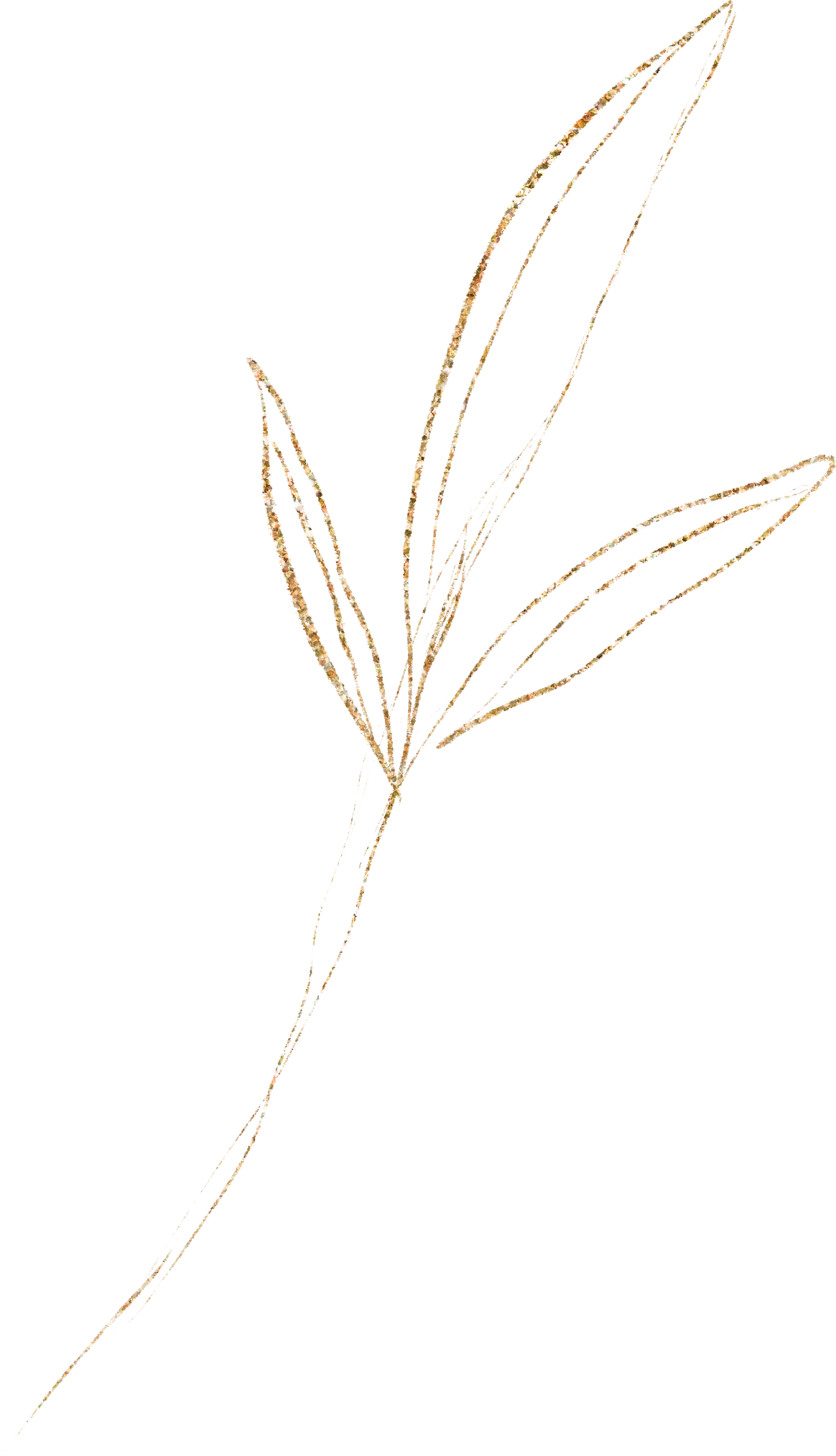 Golden glitter outline of a stylized leaves and a single stem