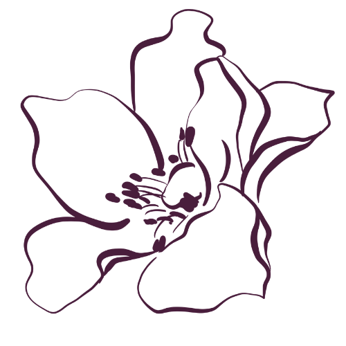 Line drawing of a single, large flower with multiple petals and detailed reproductive parts on a black background.