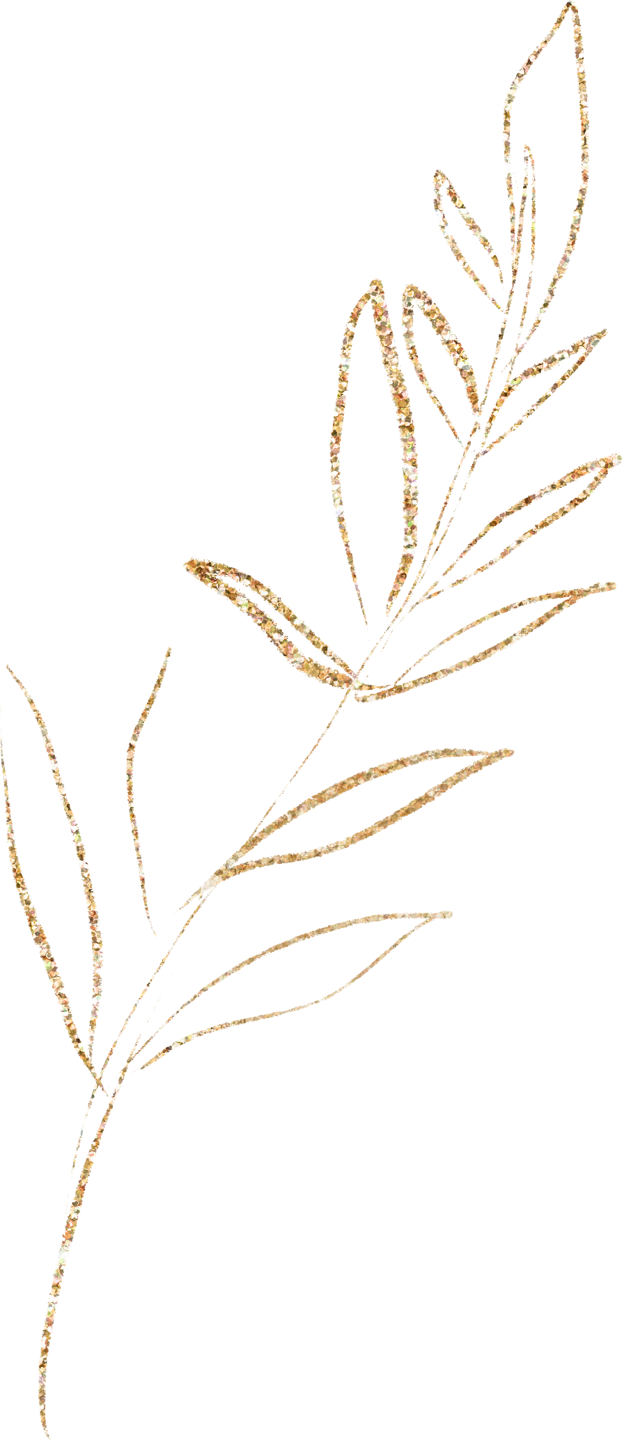 Elegant illustration of a golden branch with leaves on a black background.