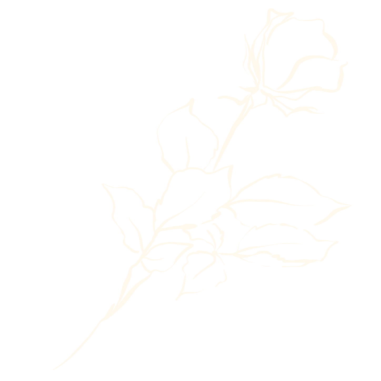 A white outline of a rose with leaves on a black background.