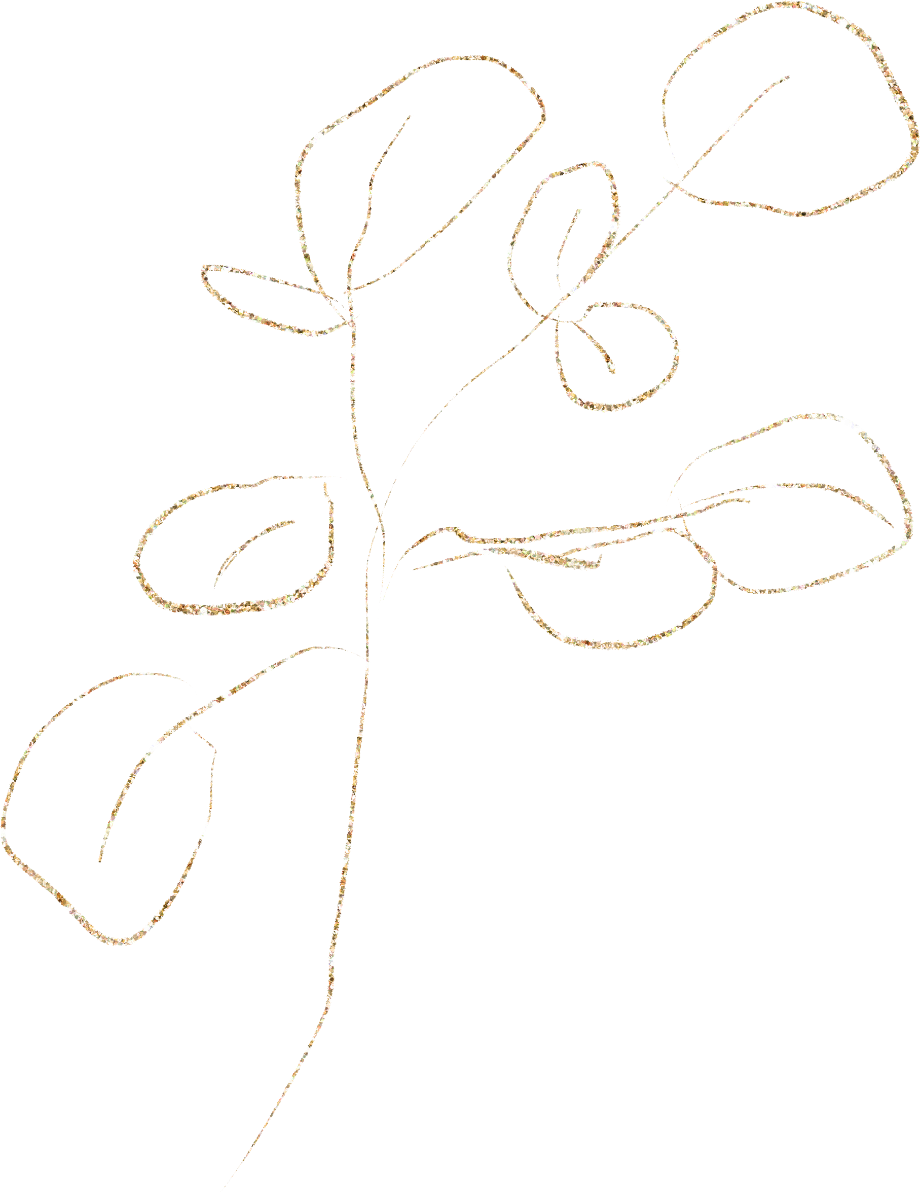 A digital line drawing of a flower with a single stem, four leaves, and a rounded blossom on a black background.
