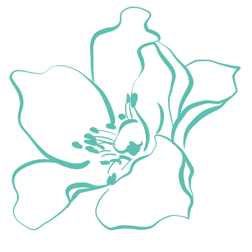 Line drawing of a rose flower with petals and stamen, in light blue on black background.