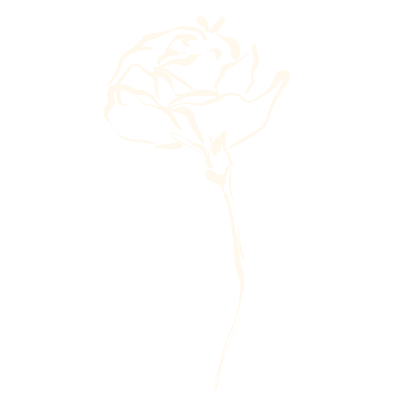 Line drawing of a single rose with a long stem on a black background.