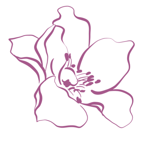 A line drawing of a flower with five petals, outlined in purple