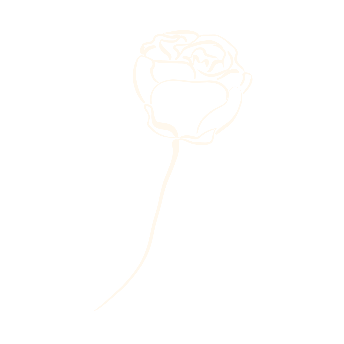 A minimalist white outline of a rose on a black background.