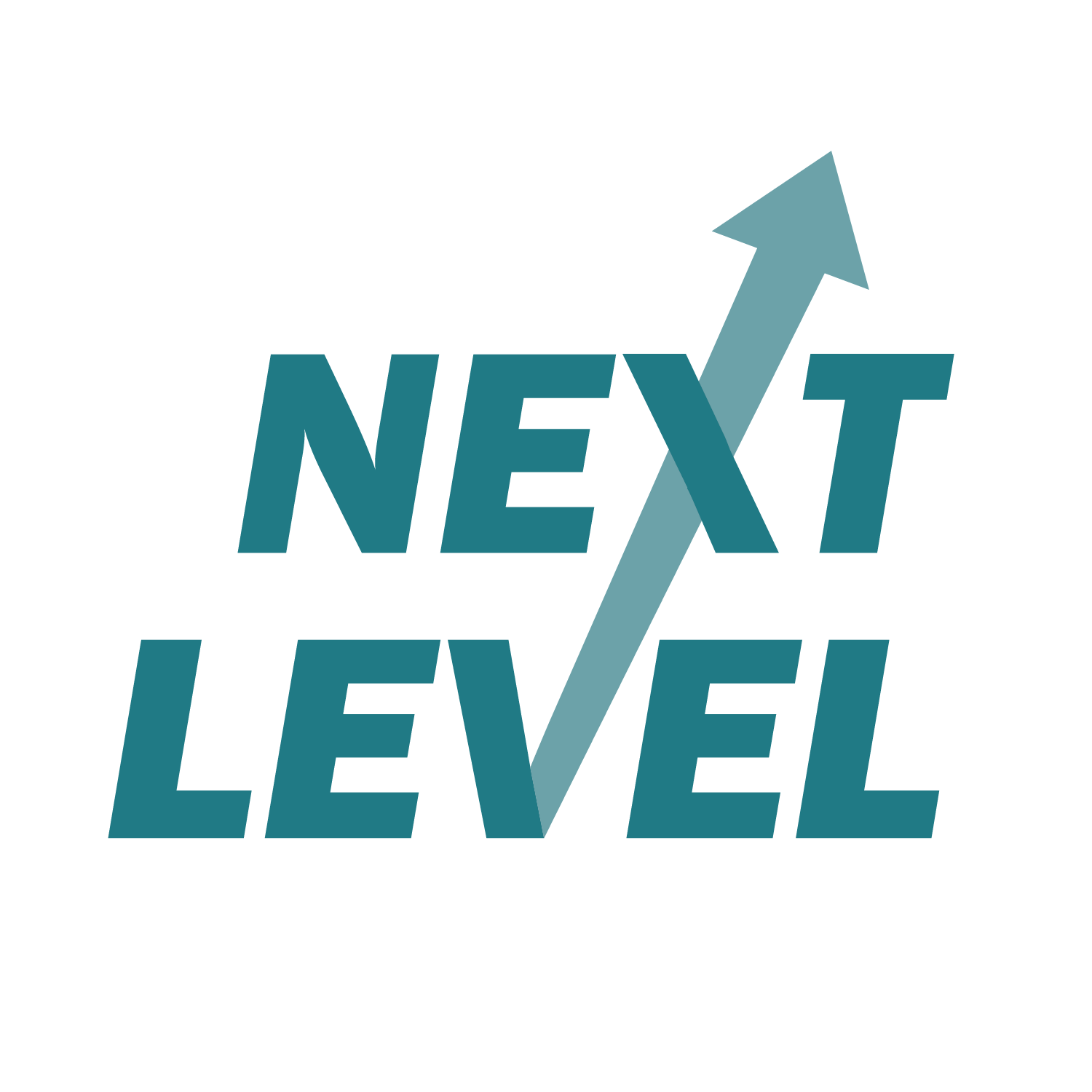 This is a solo project that was taken up from a local business called: Next Level Marketing. This project was paid. The task here was to create the businesses logo, as well as other brand assets, like: business cards, graphics, and patterns.