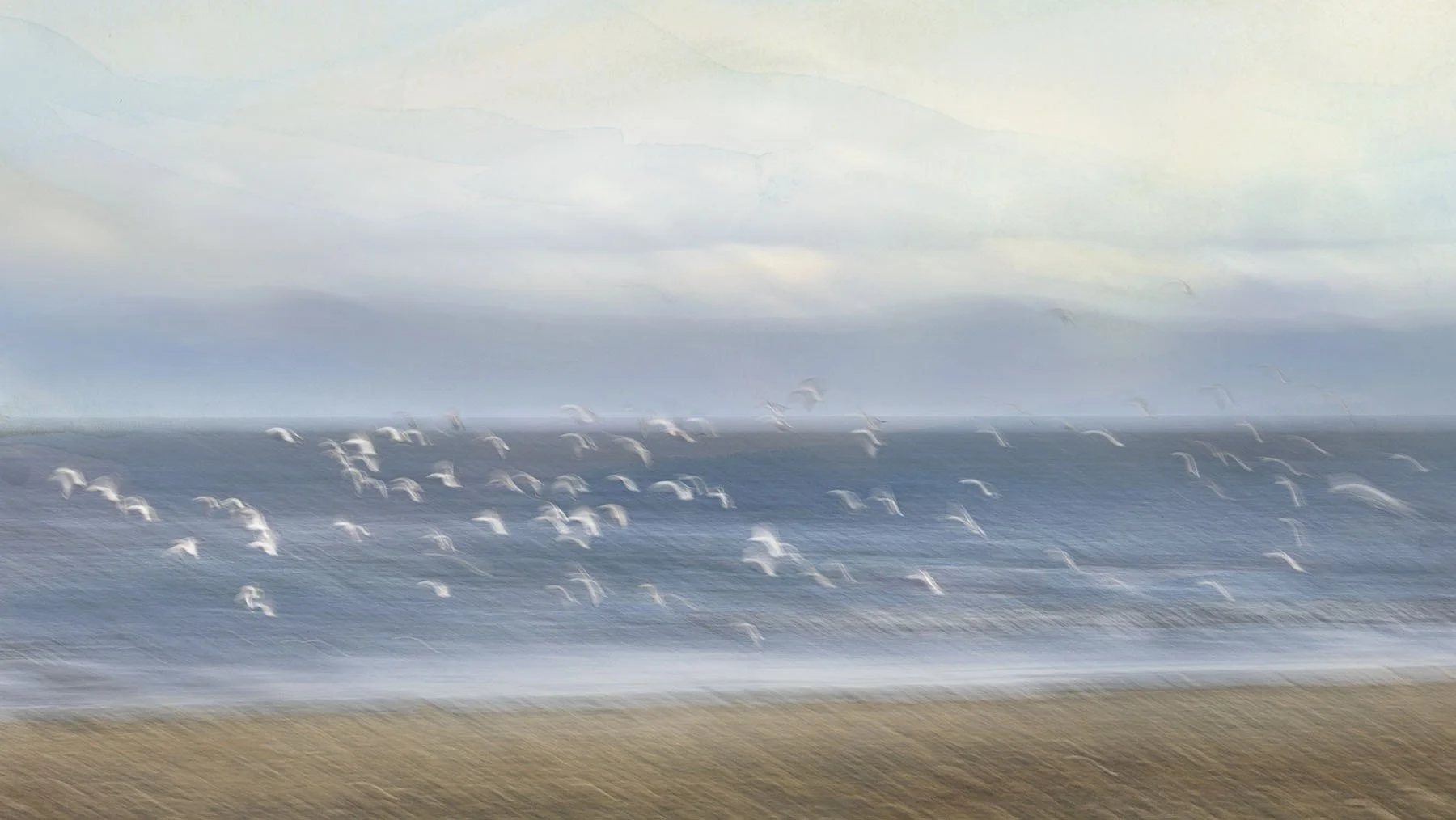 7-Birds-260309-6703.jpg