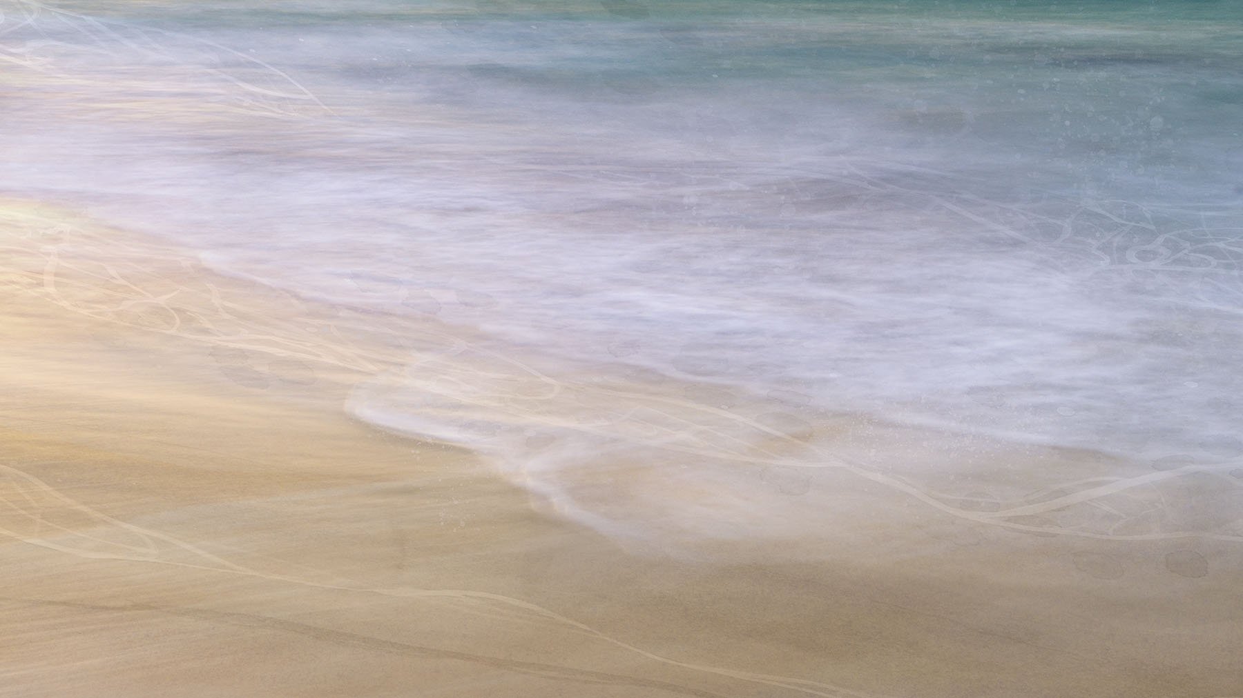 8-Tideline-250311-3524.jpg