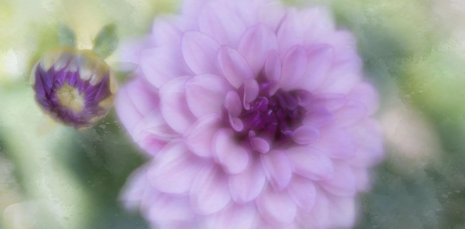 3-Floral 2-250725-5237.jpg