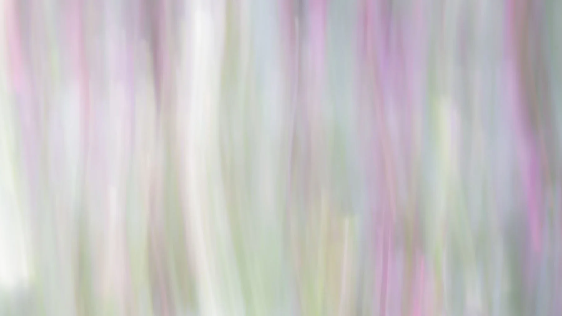 Abstract-250725-5335.jpg