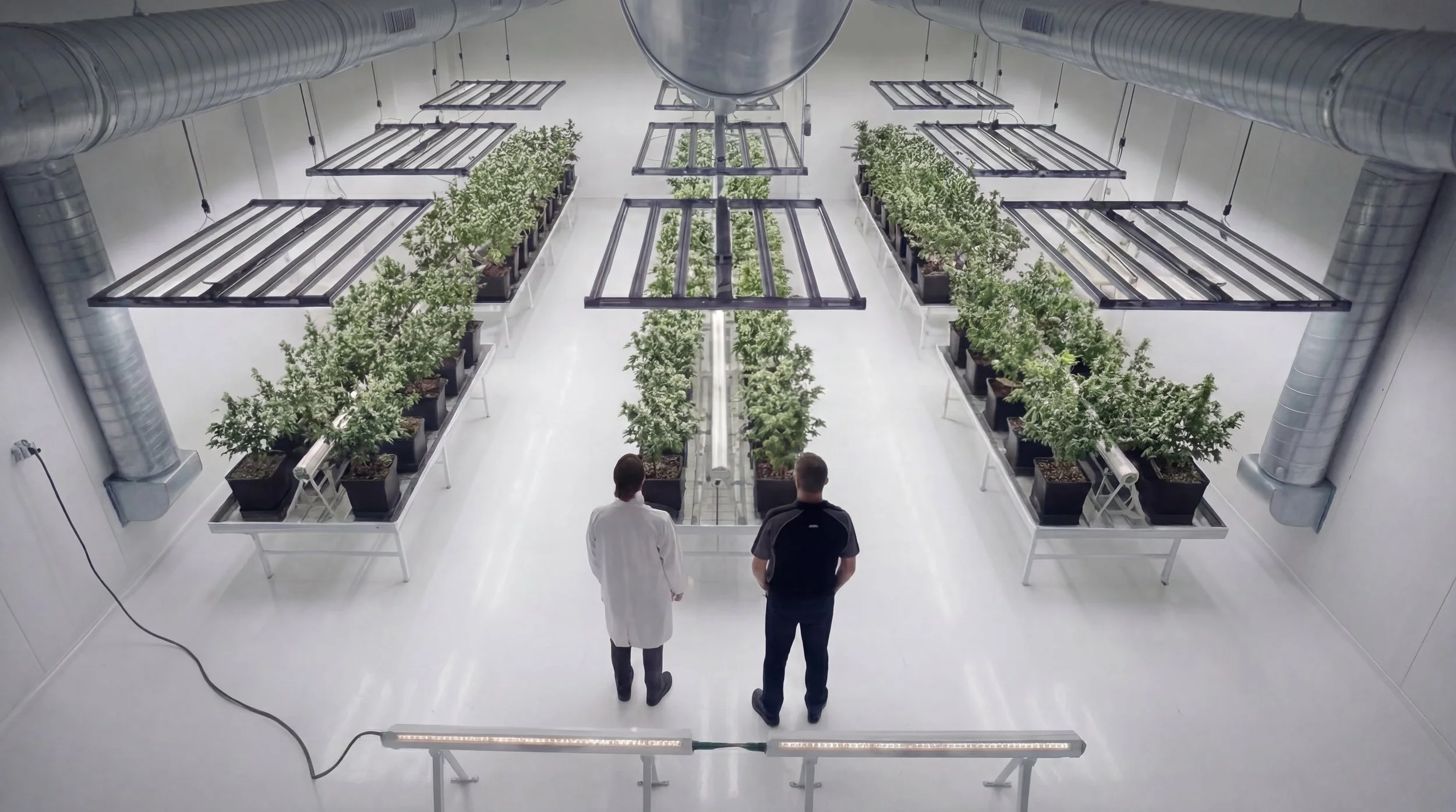 Two people, one in a white lab coat and the other in a black shirt, standing in a laboratory with rows of potted plants and grow lights hanging above them.